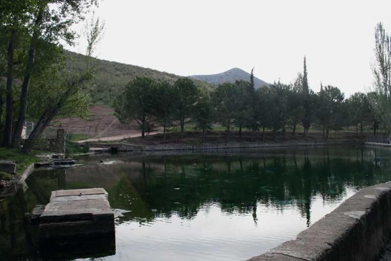 Photo 15