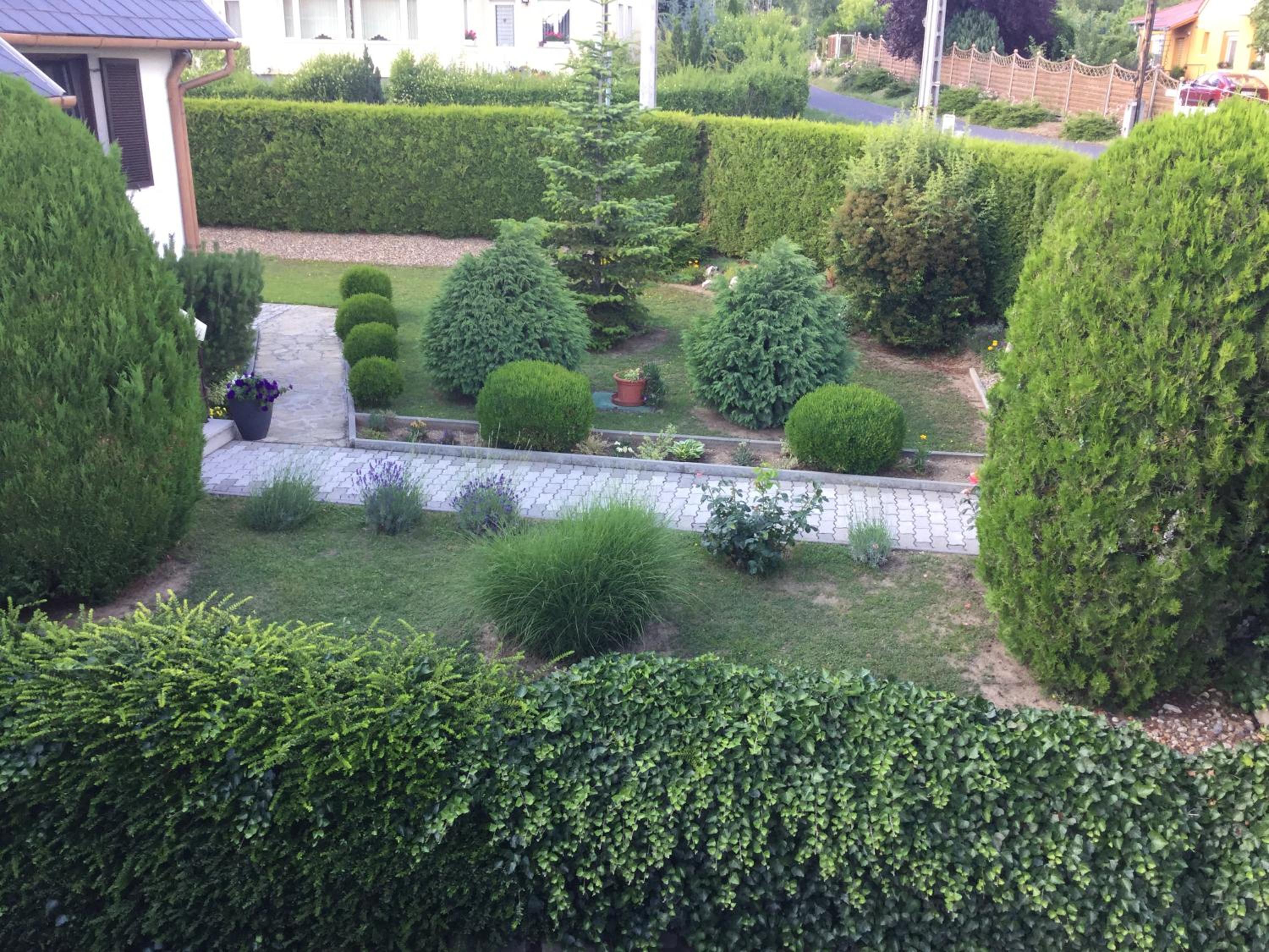 Photo 31