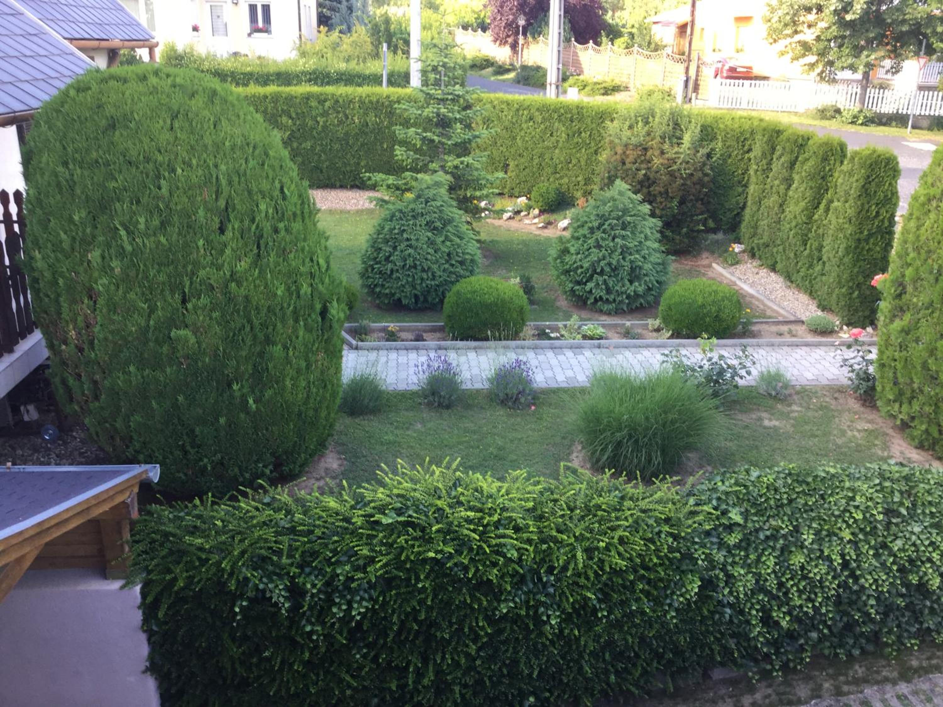 Photo 32