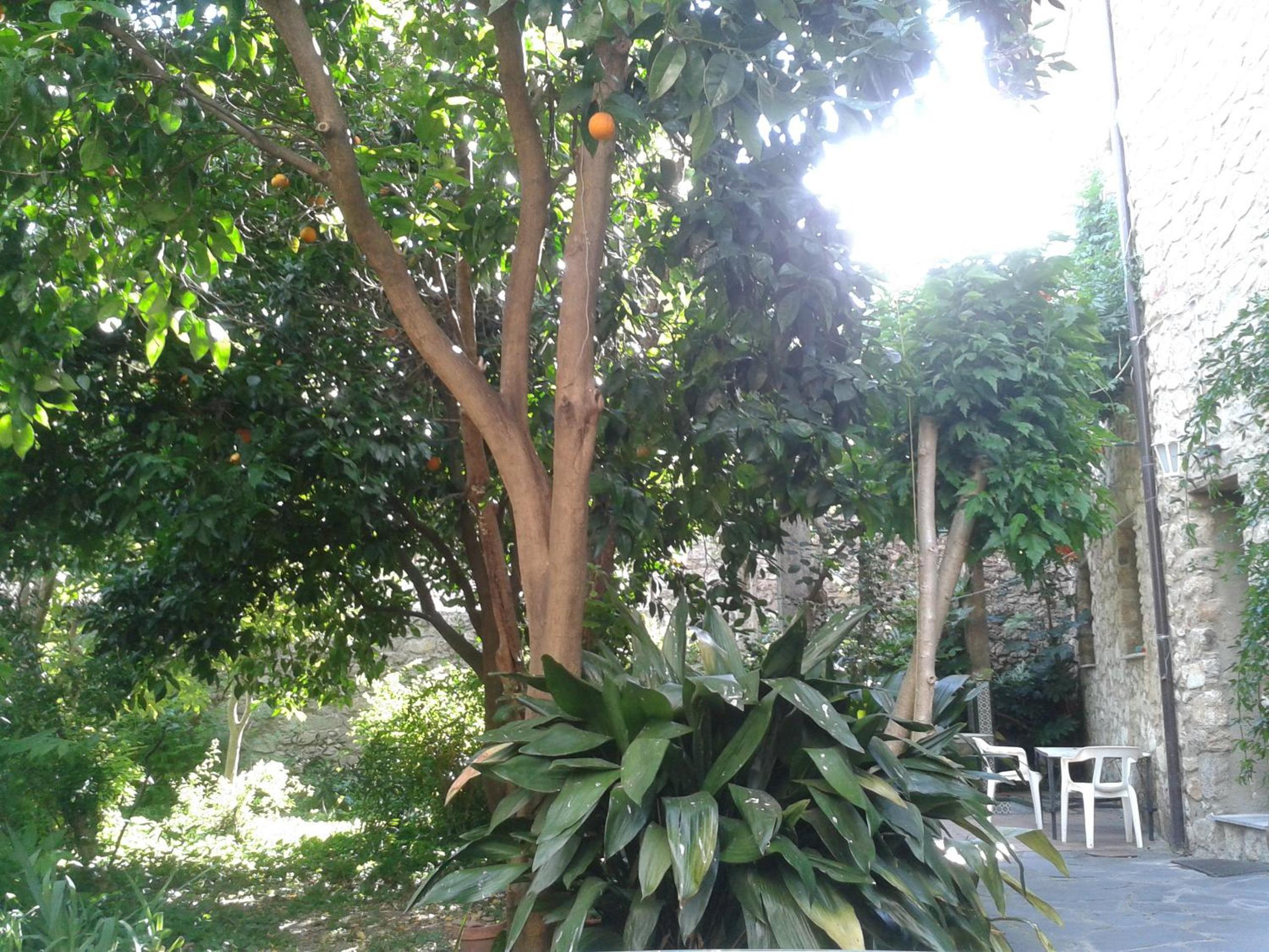 Casa Rural Corvina
