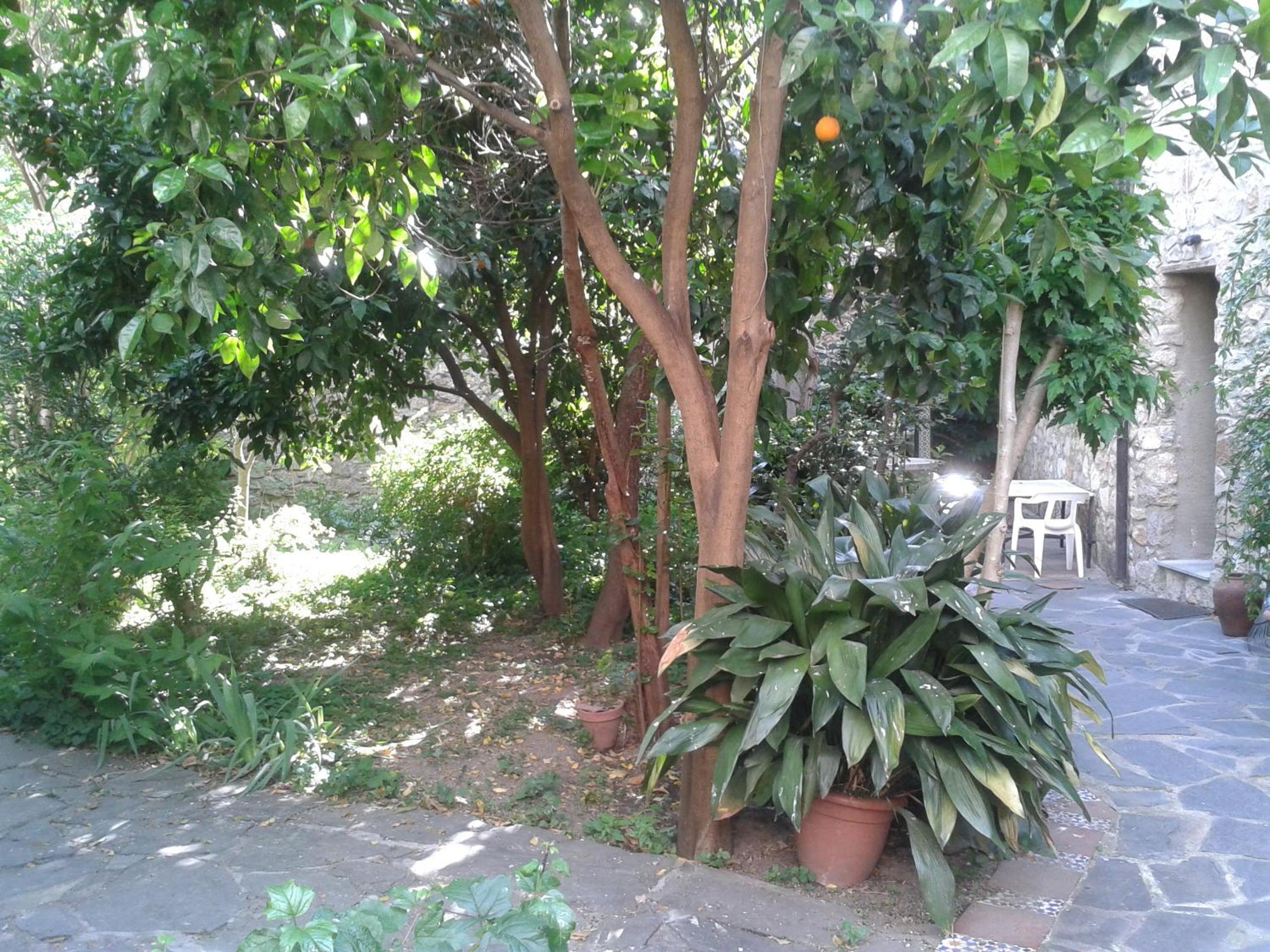 Casa Rural Corvina