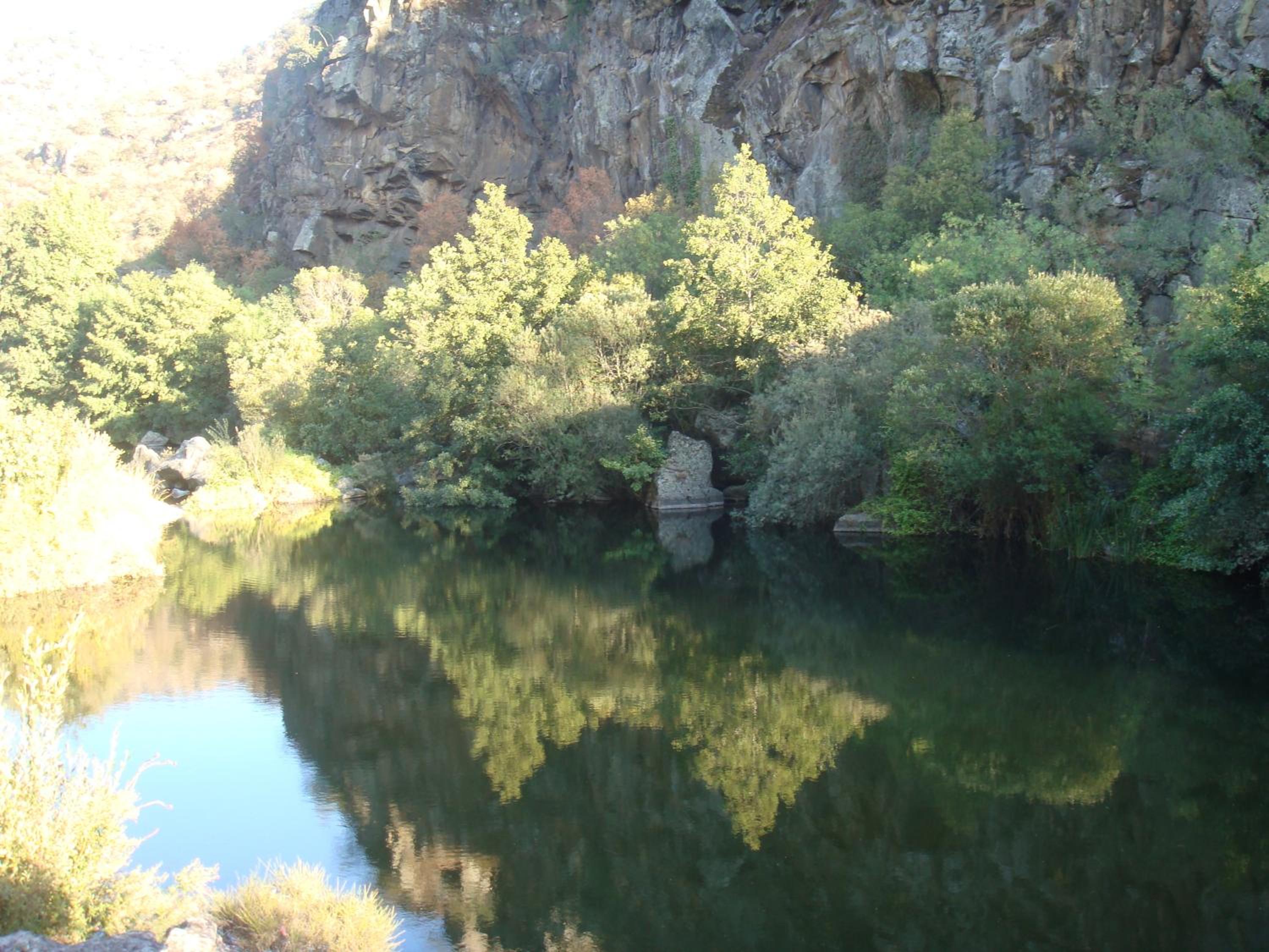 Photo 33