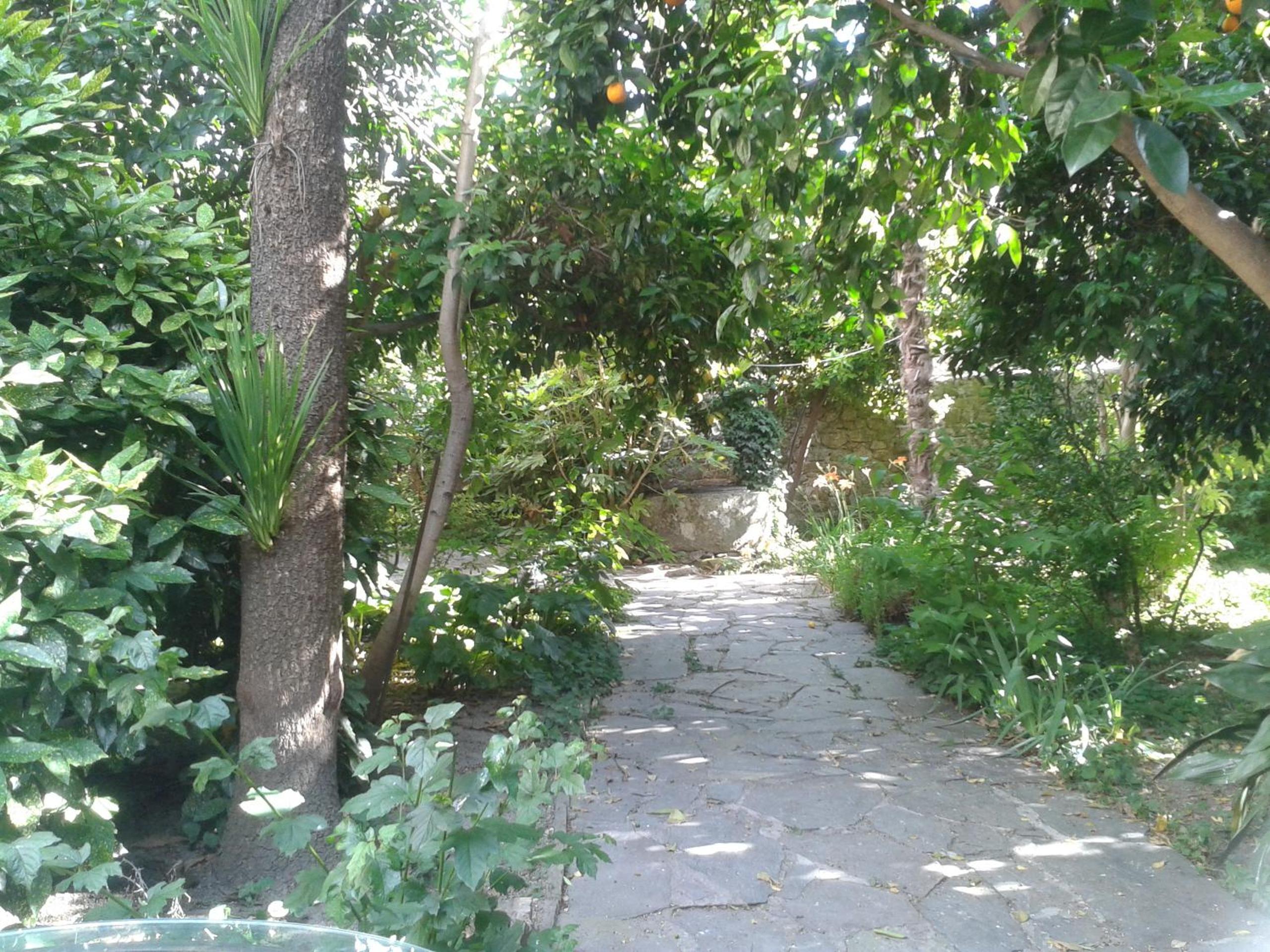 Casa Rural Corvina