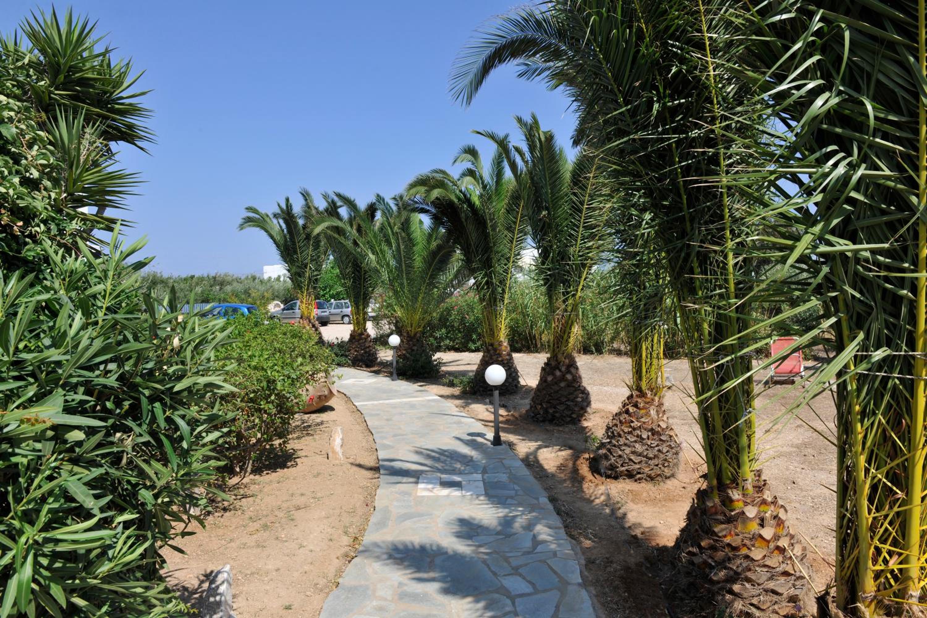 Photo 41