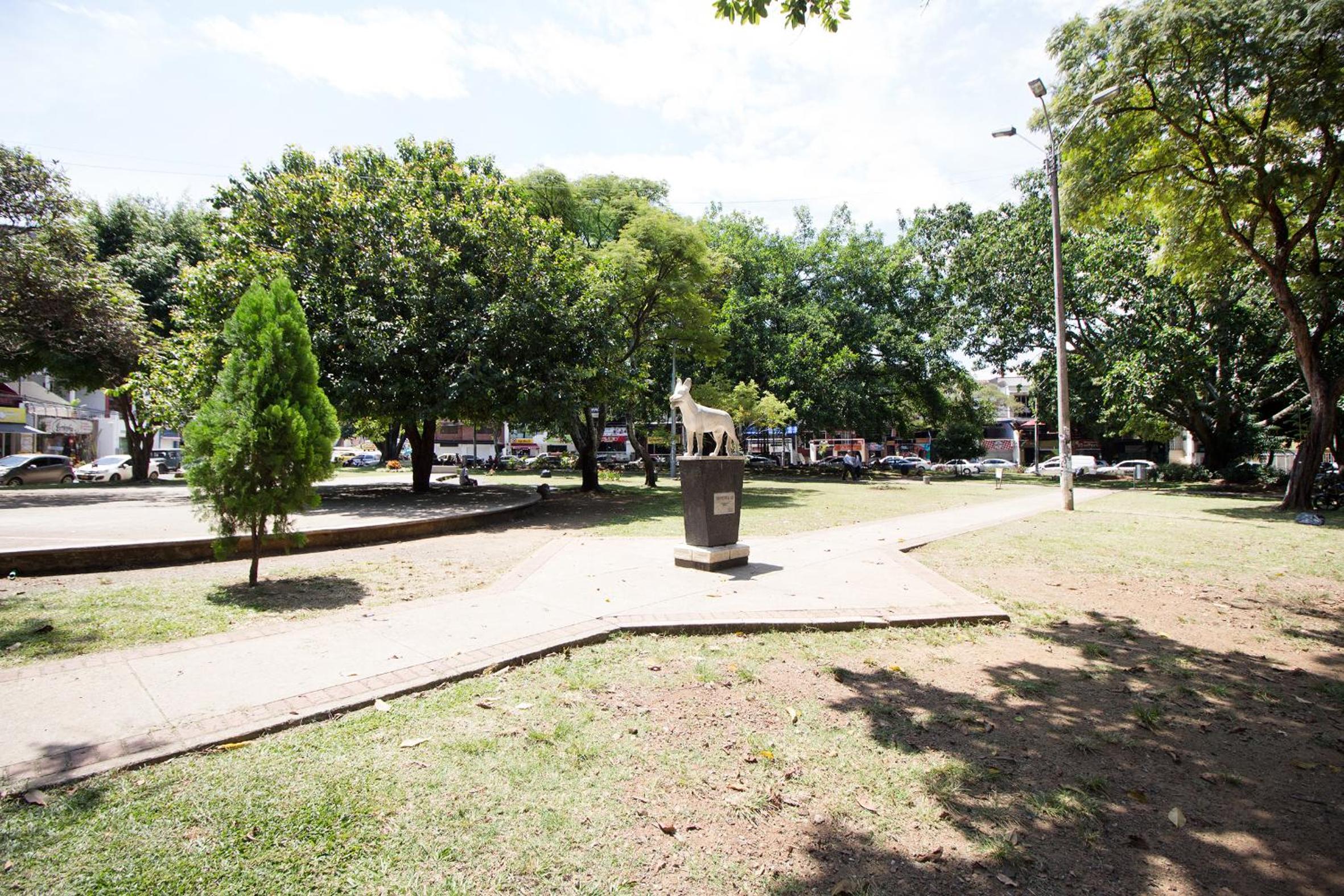 Photo 19