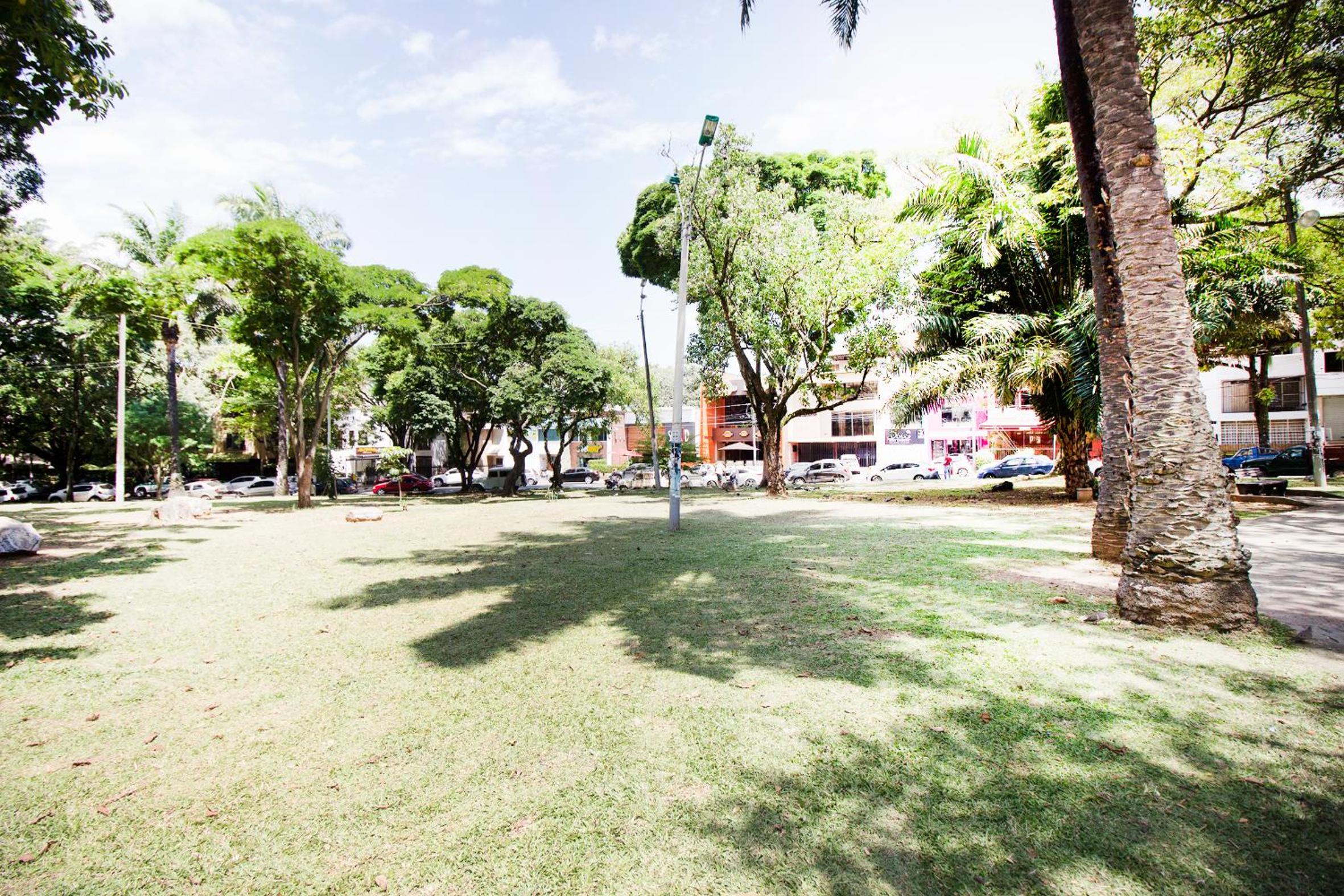 Photo 21
