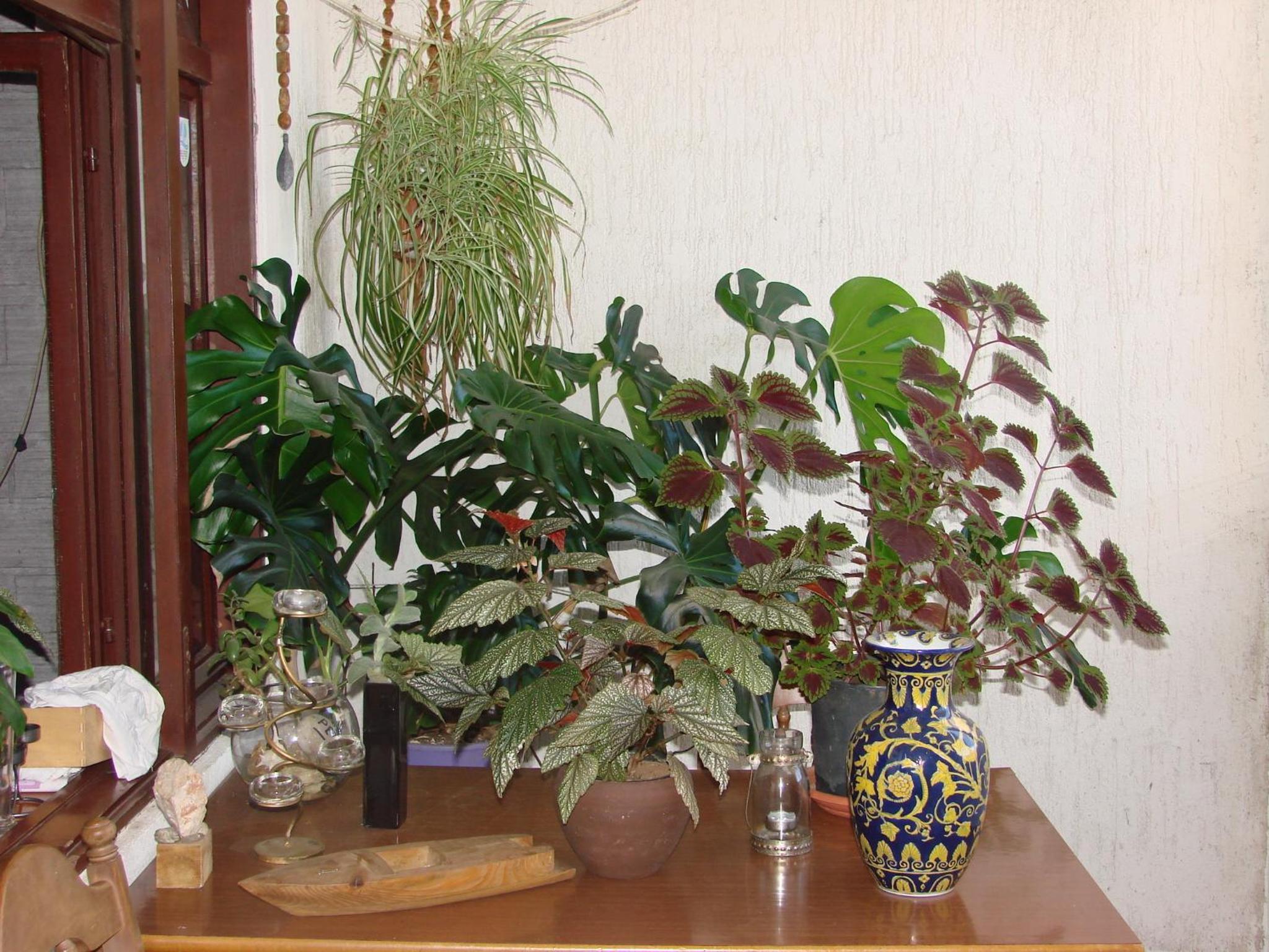 Photo 45