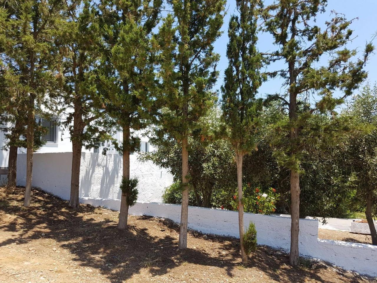 Villa Emilia Agia Pelagia with Heated Pool view 5