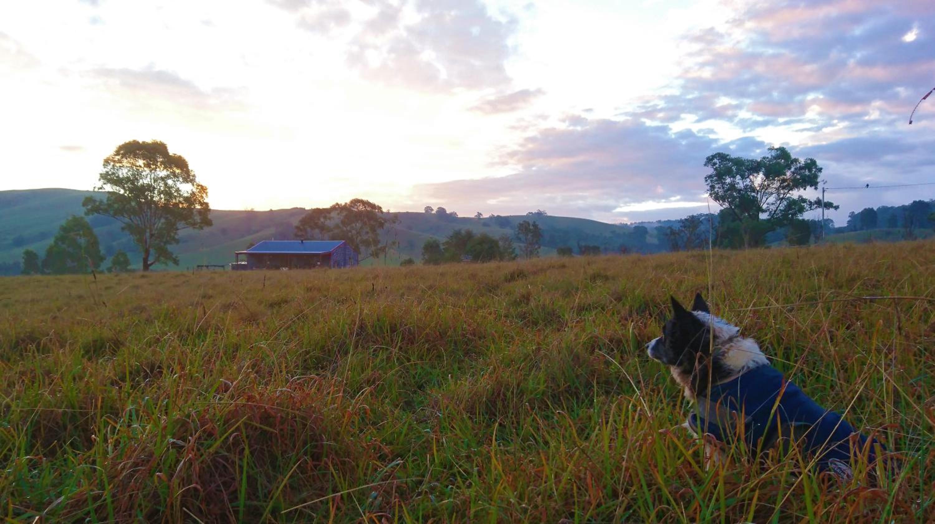 The Wattle Lodge