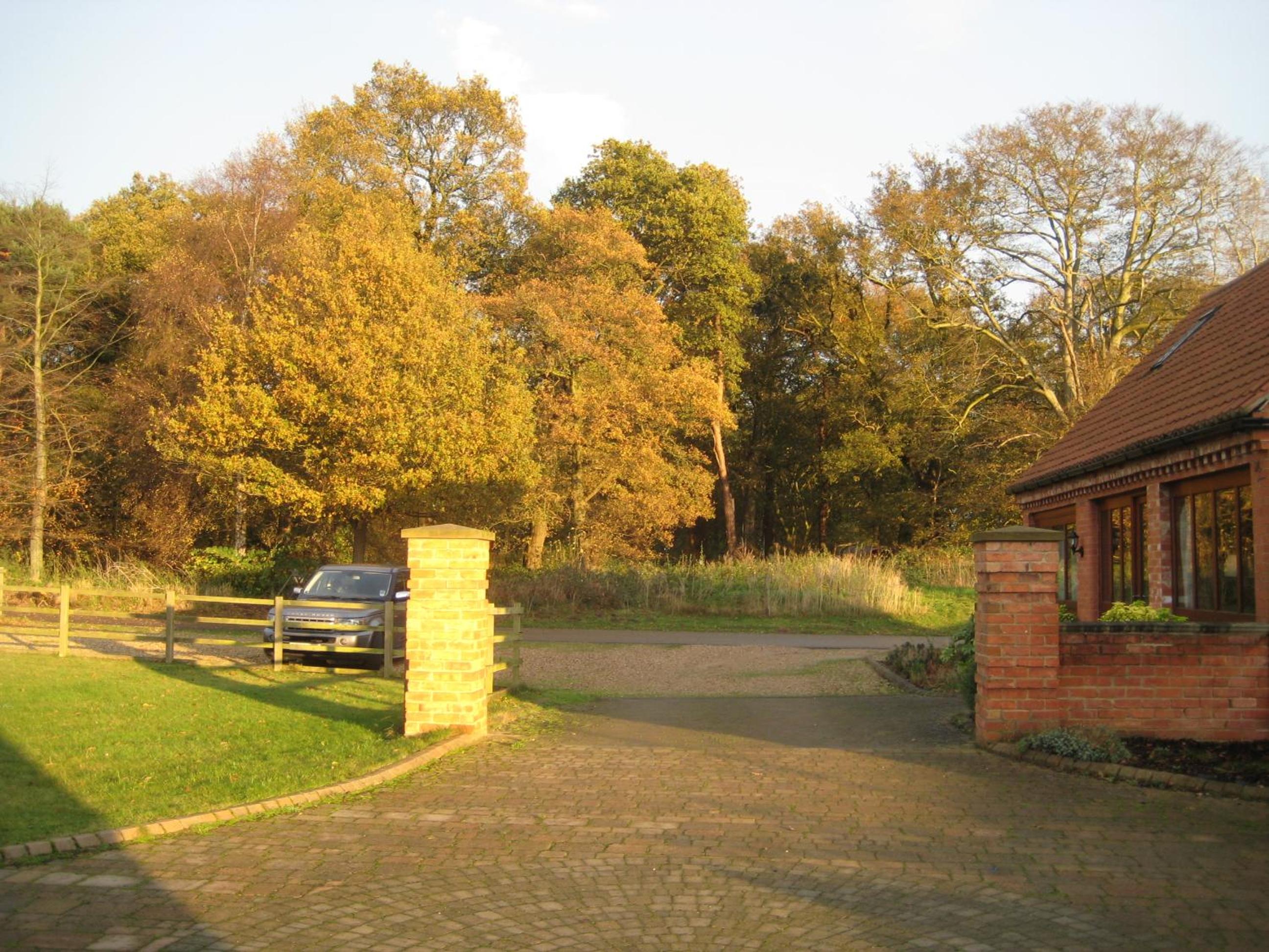 Photo 12