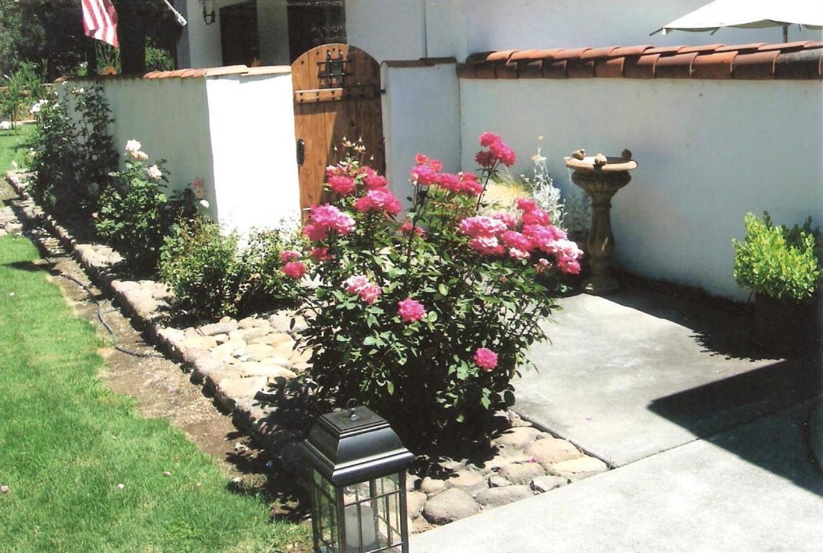 Photo 21