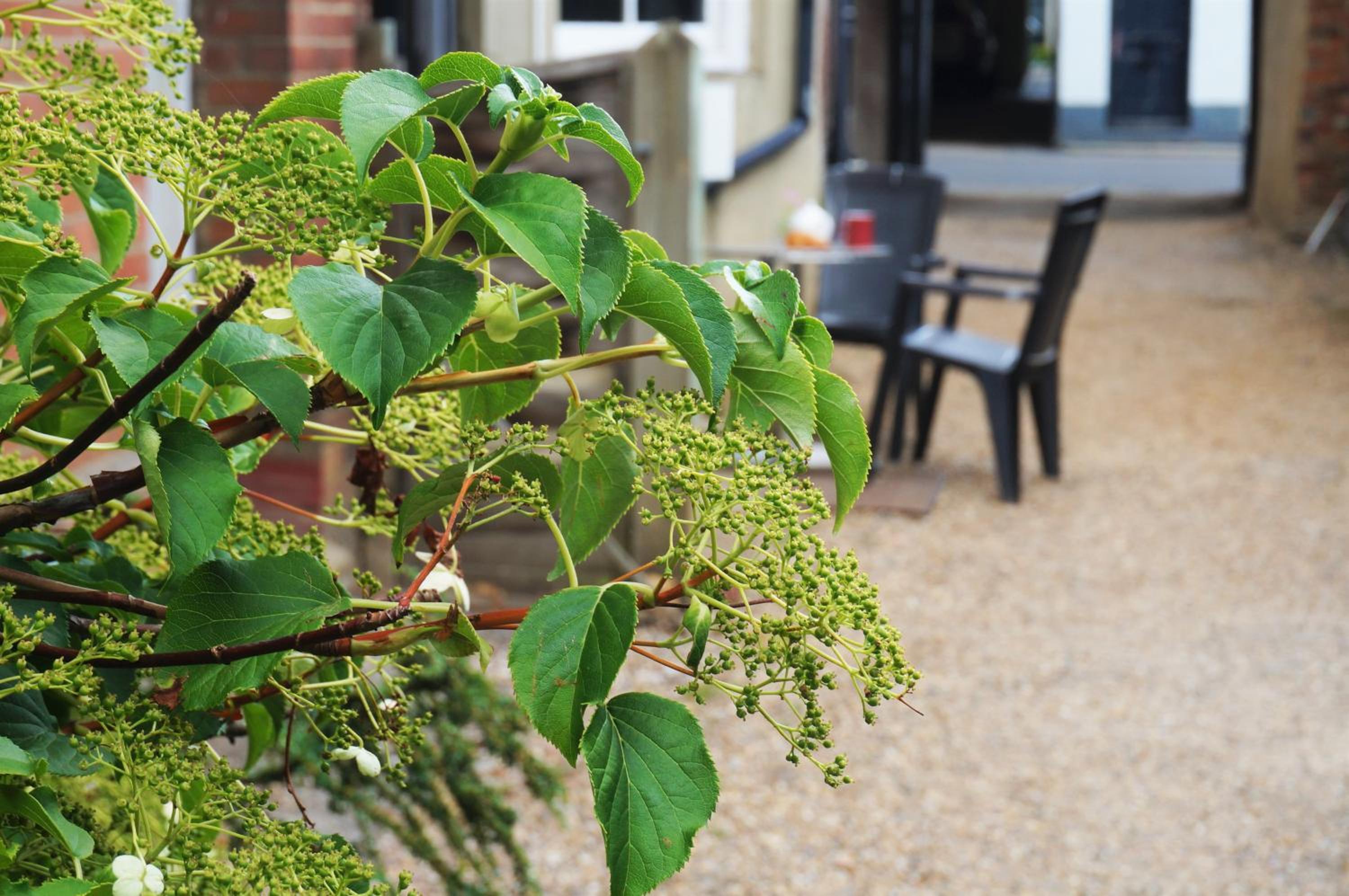 Greyfriars Lodge Canterbury, photo 15