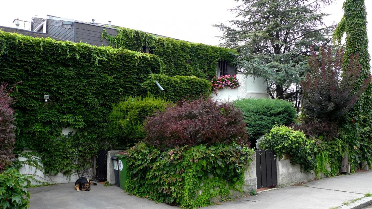Rothauer Apartments