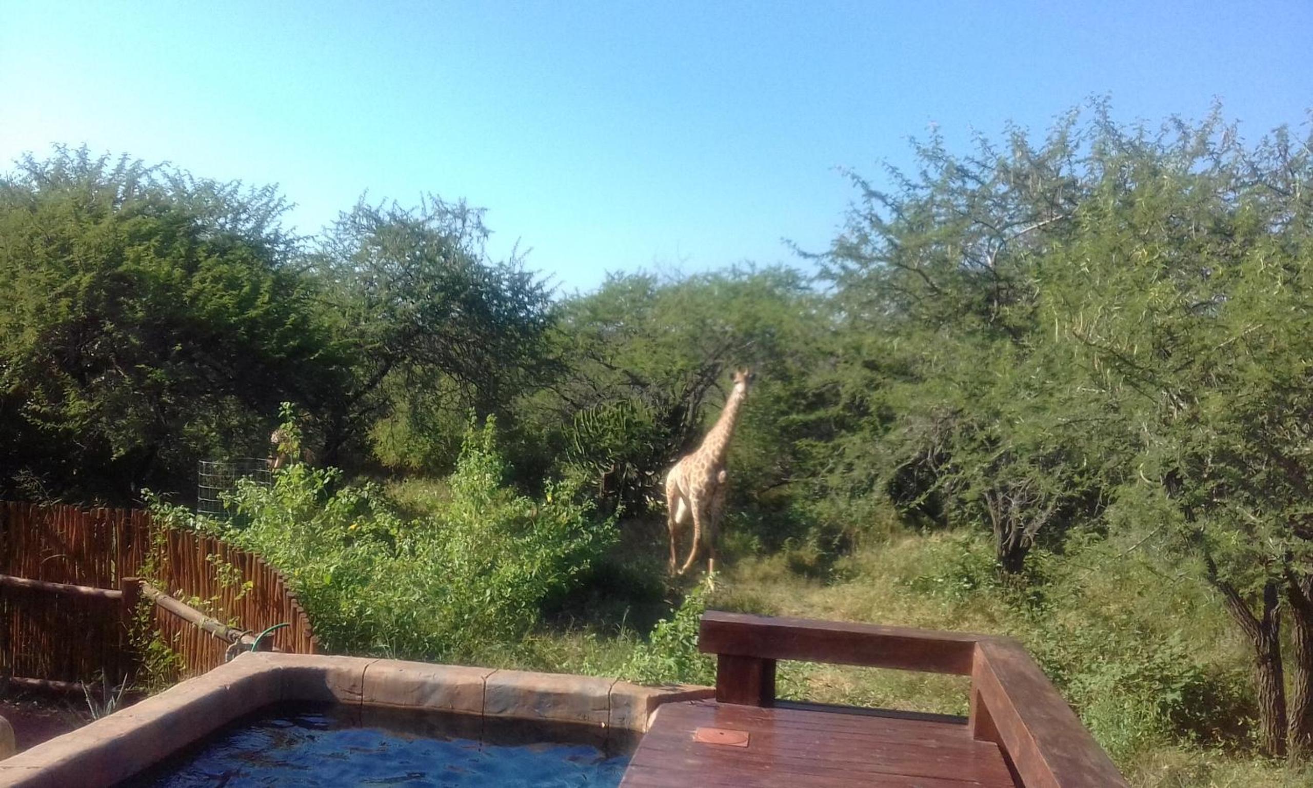 Marloth Kruger Whispering Ants view 2