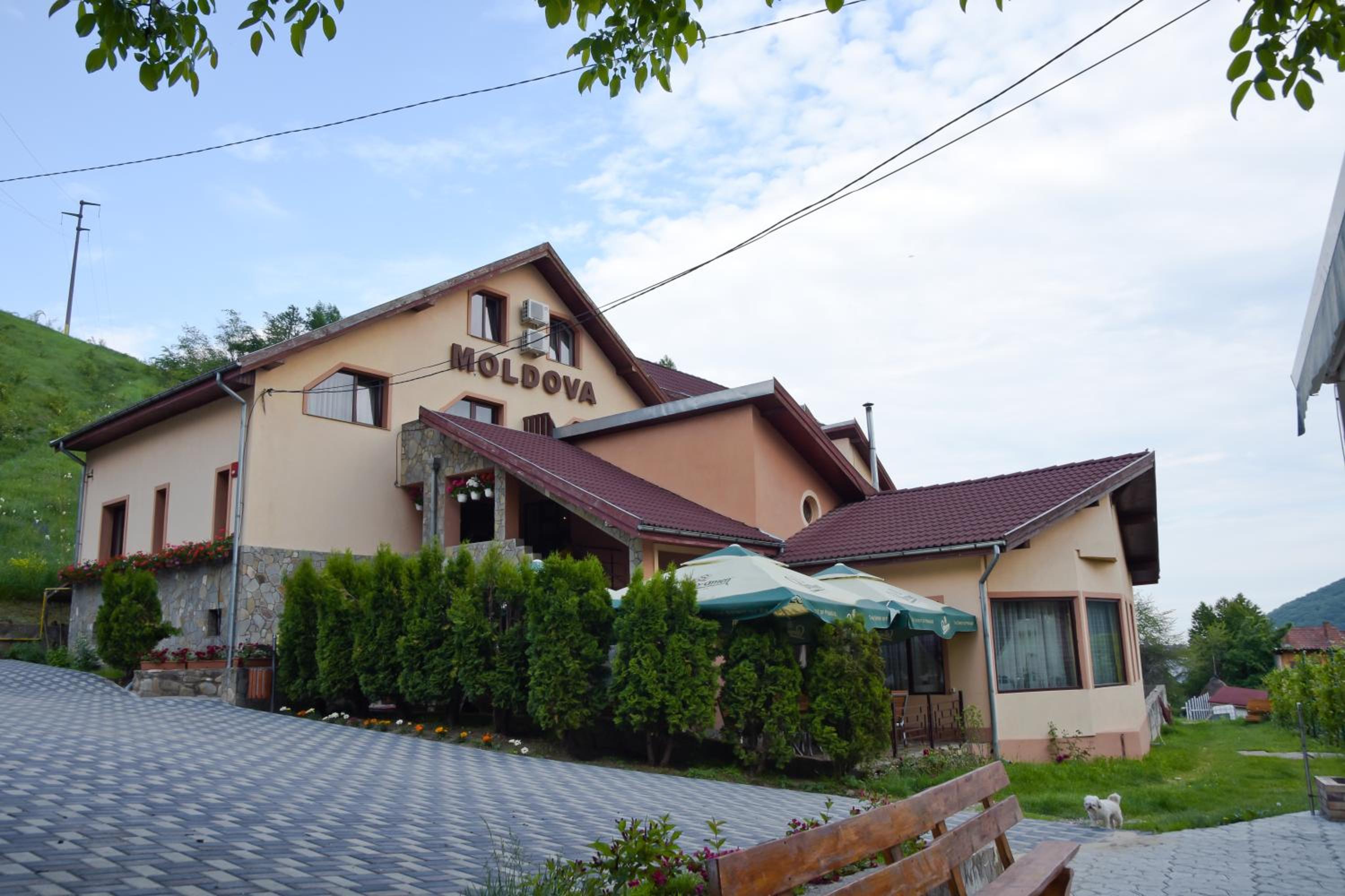 Pensiunea Moldova view 5