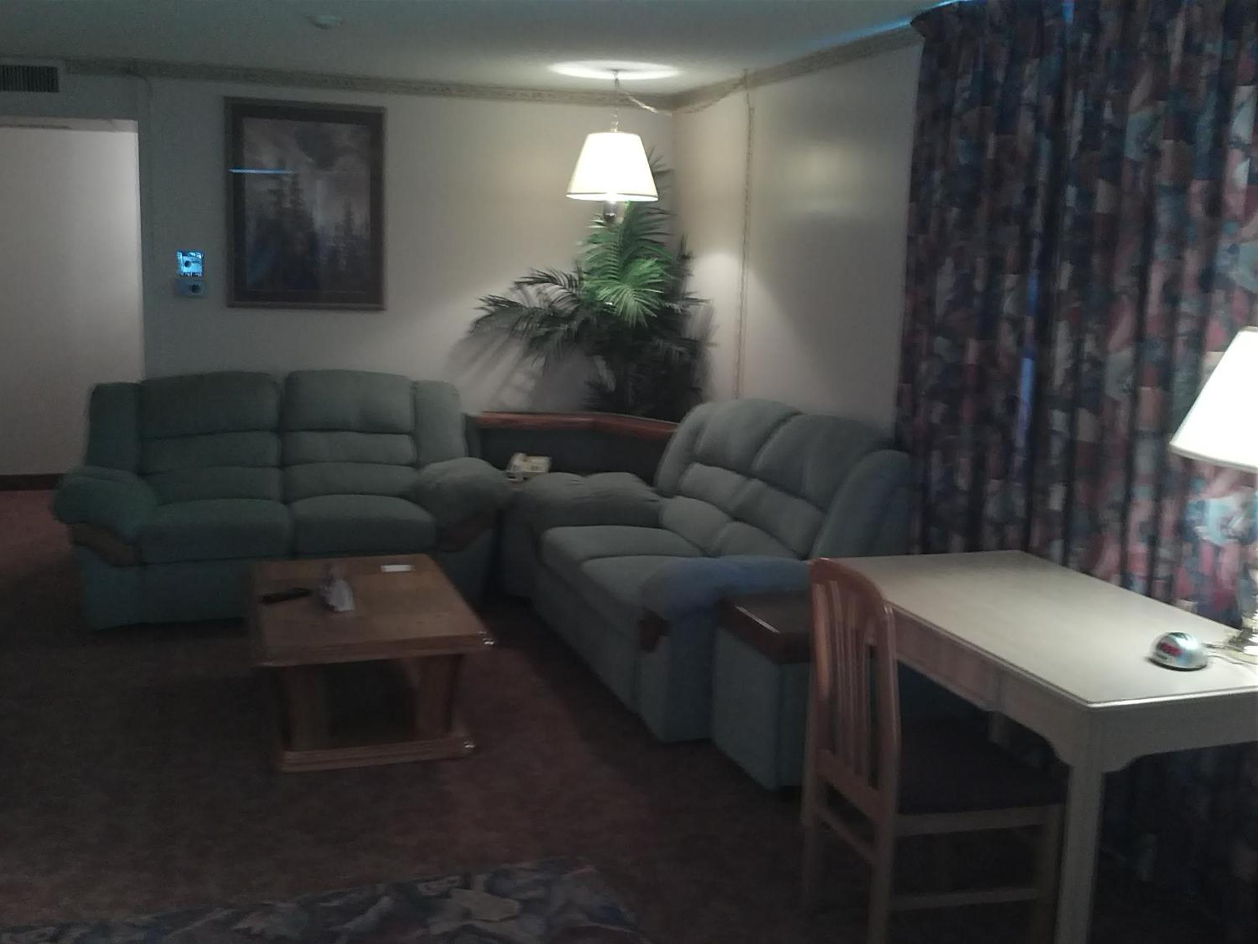 Photo 11