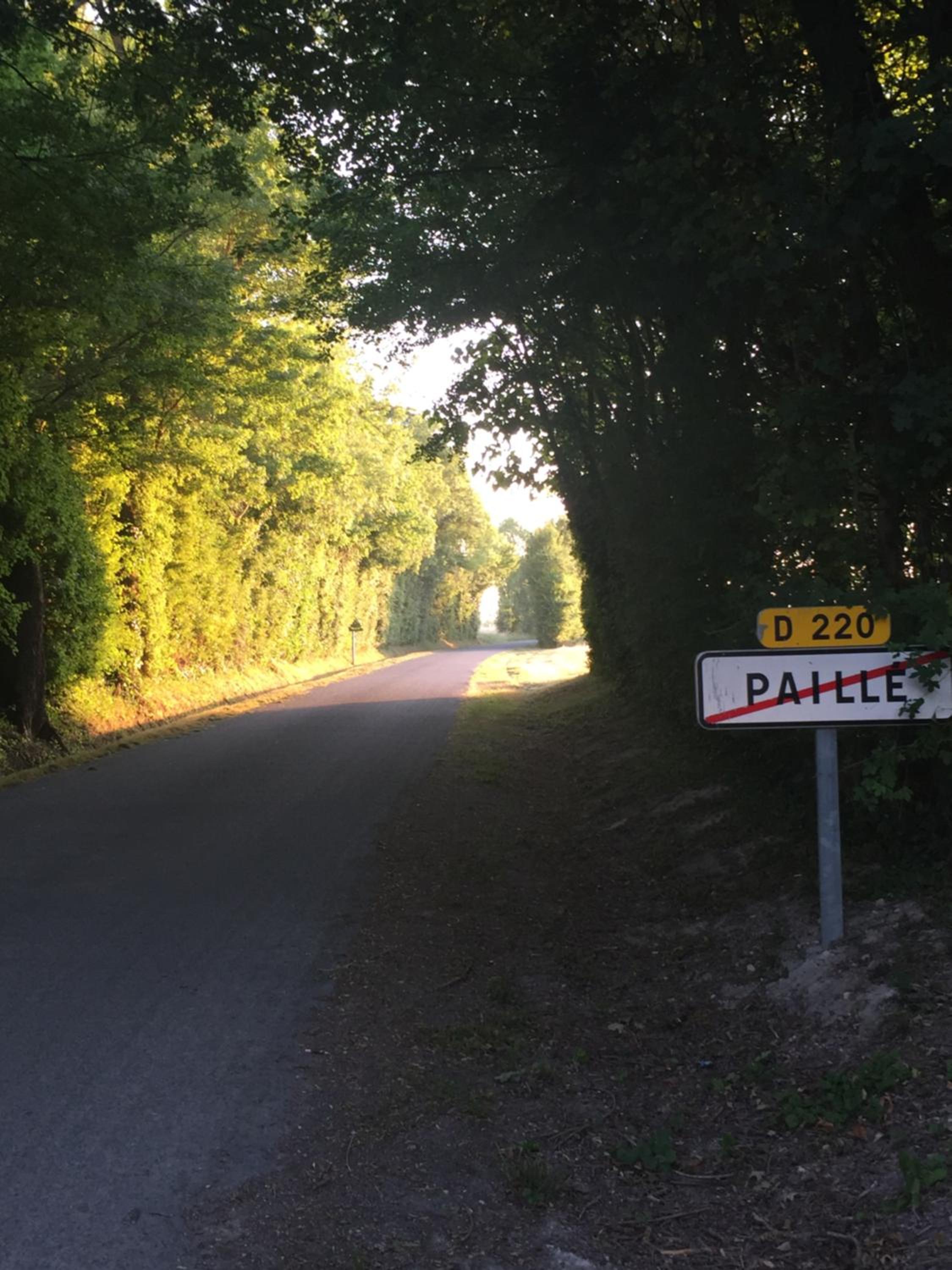 Photo 14