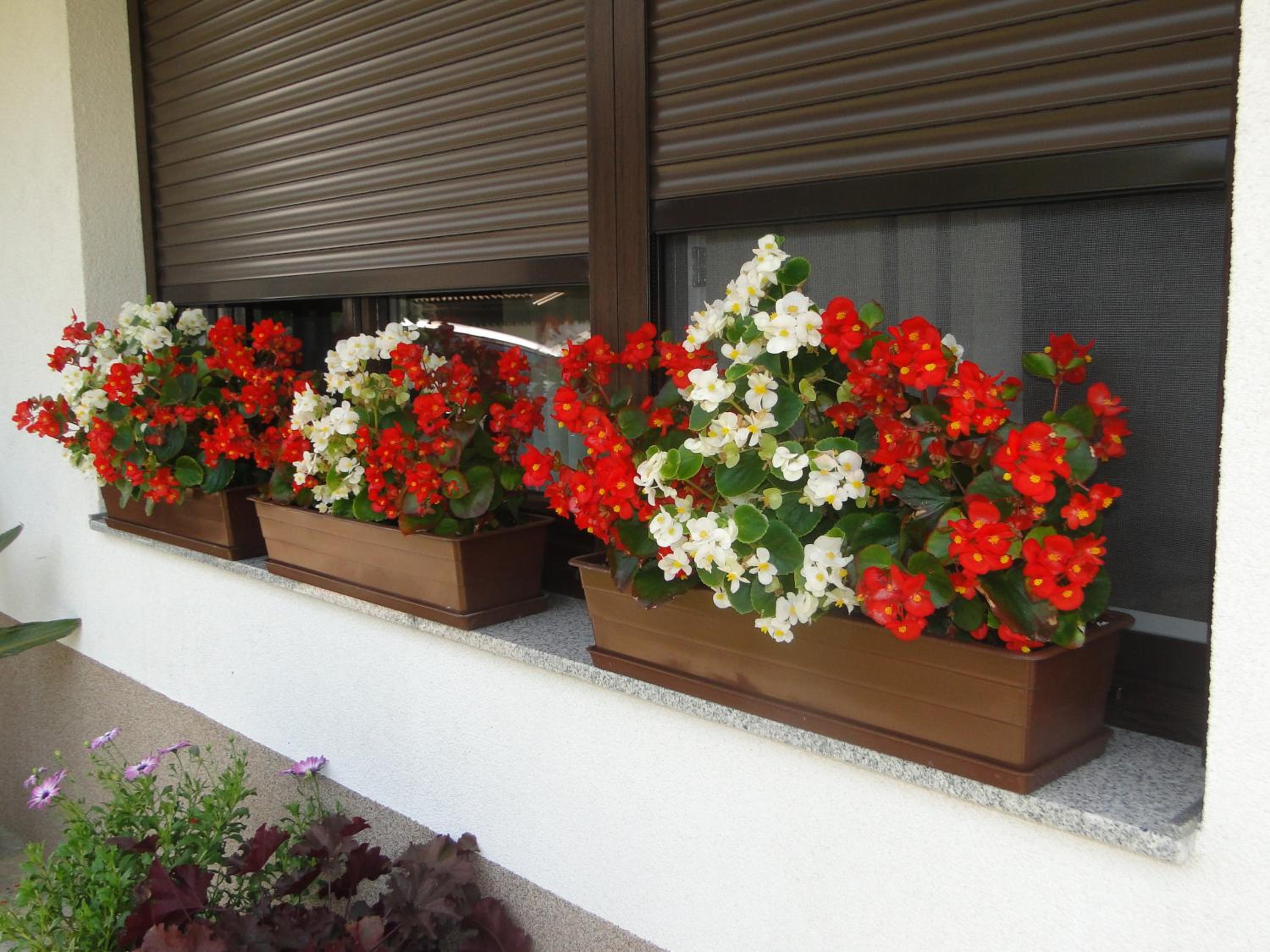 Apartma Jezero view 4