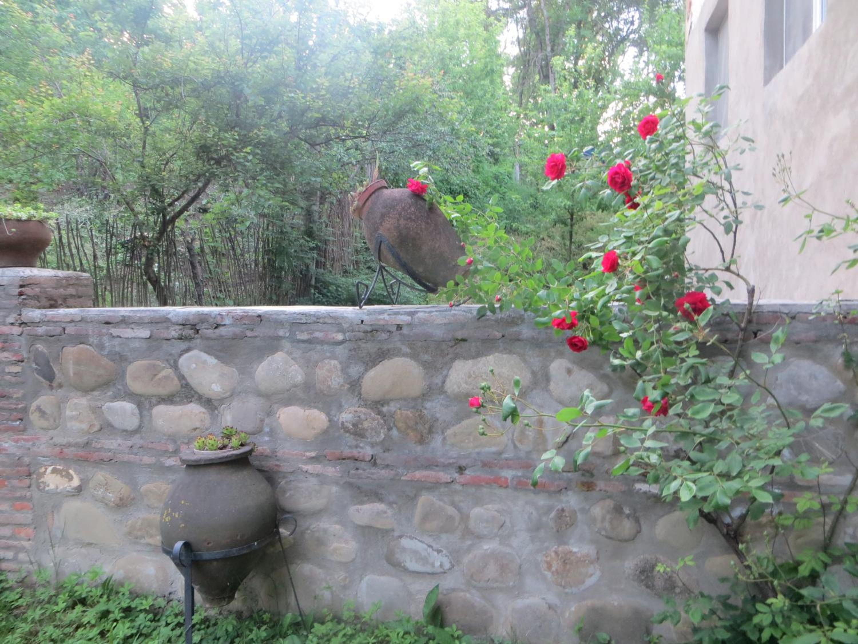 Guest House Kamea view 4