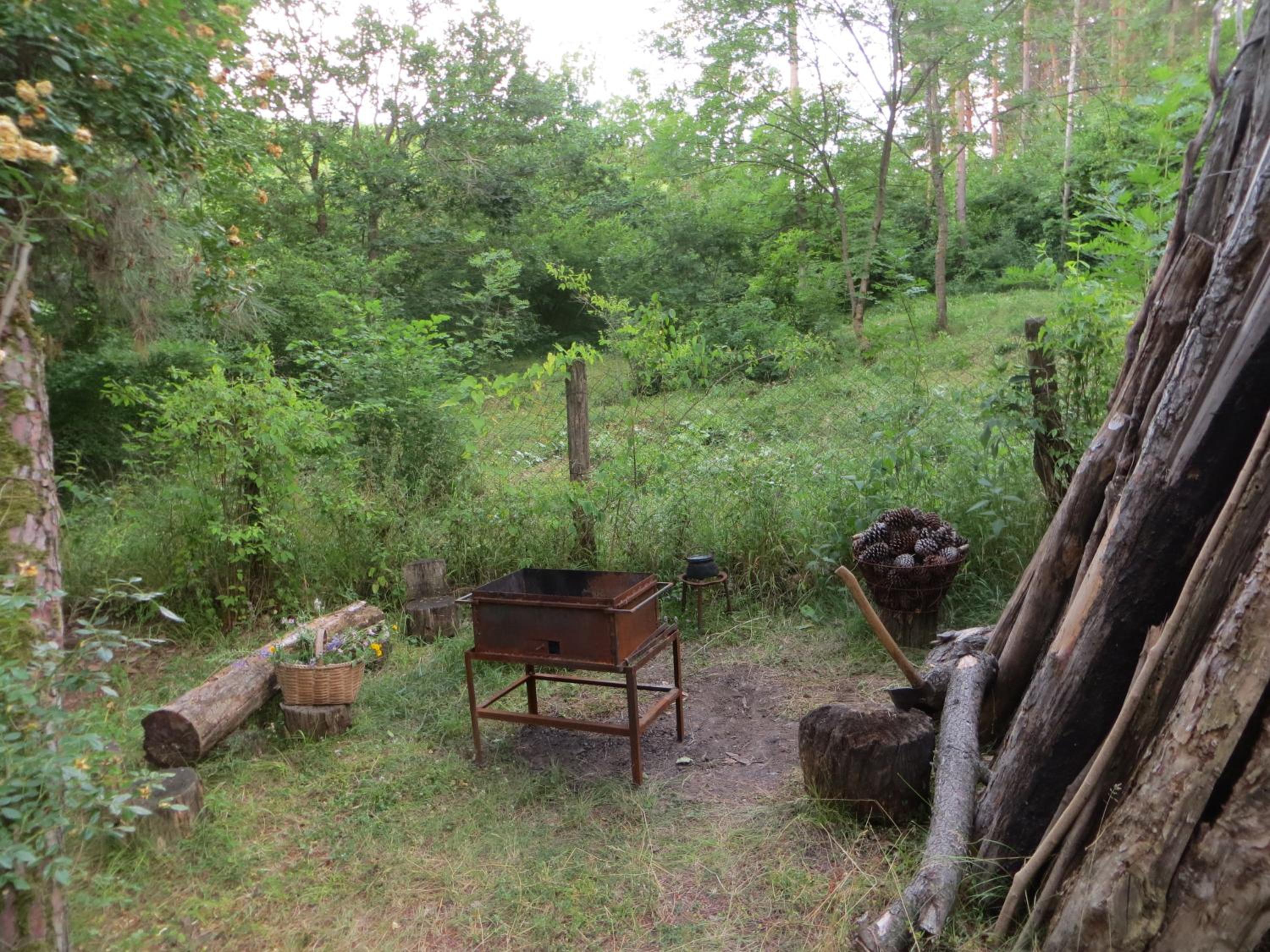 Photo 12