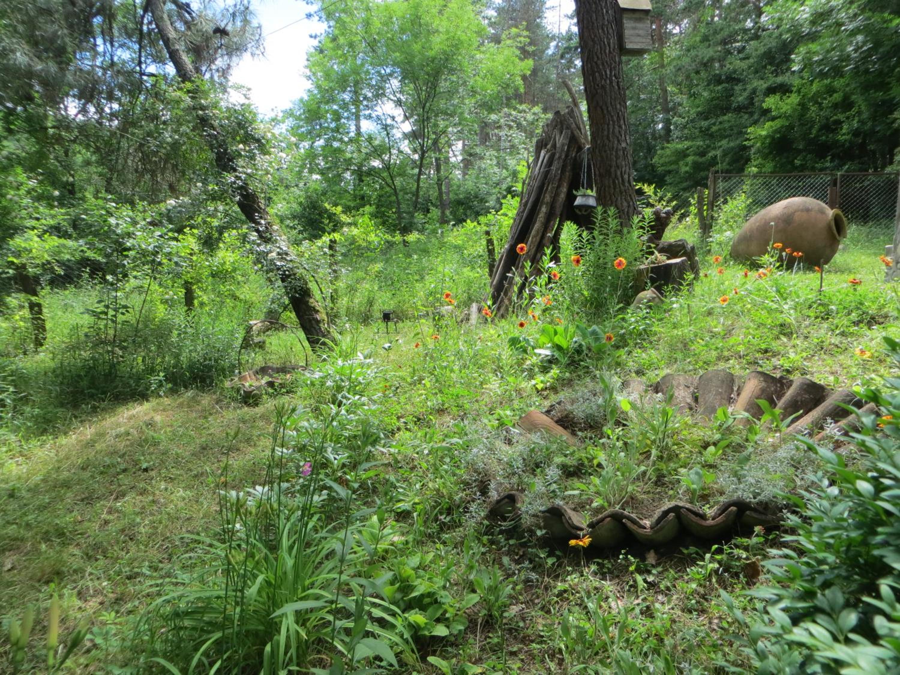 Photo 11