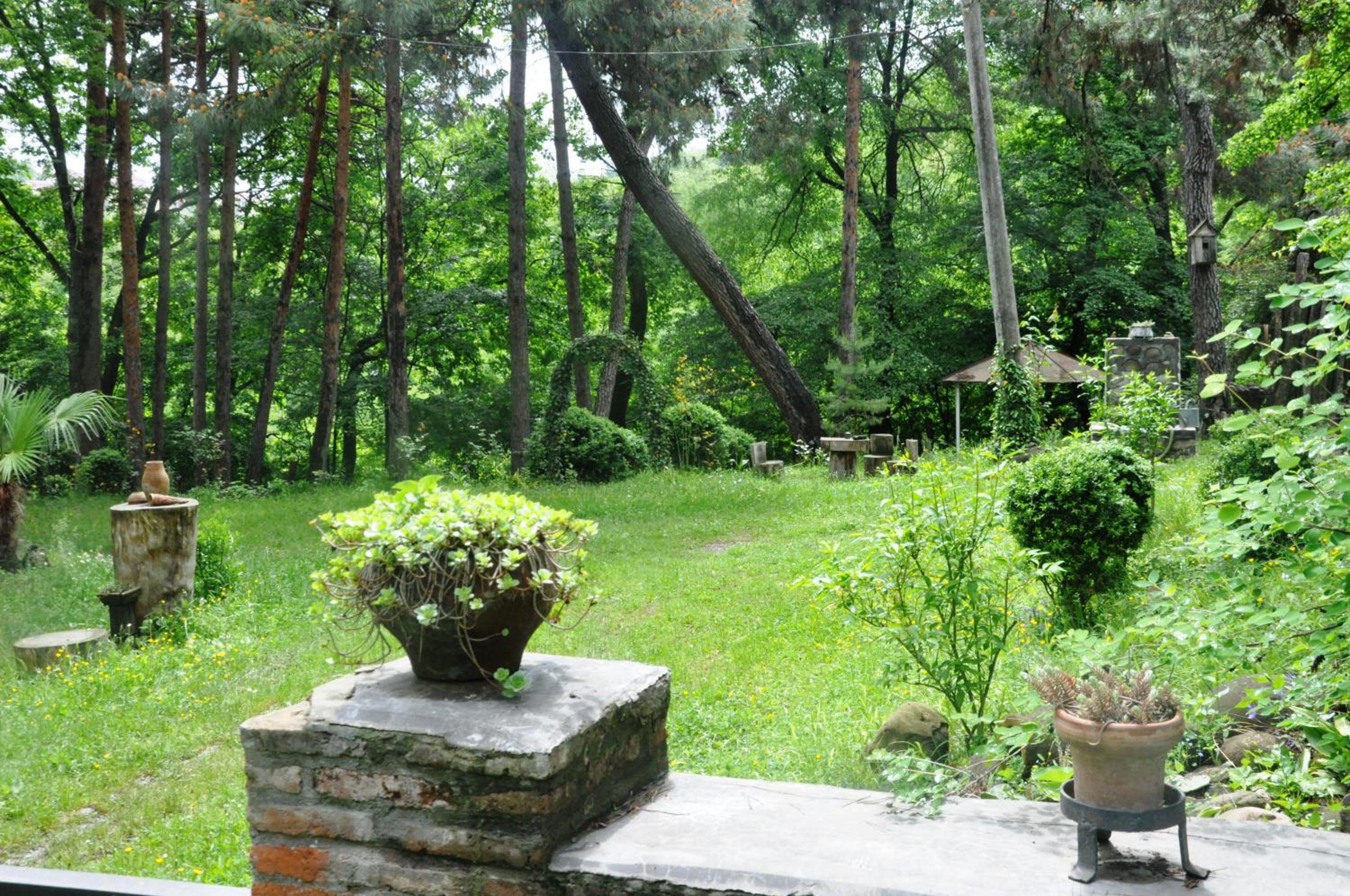 Guest House Kamea view 2