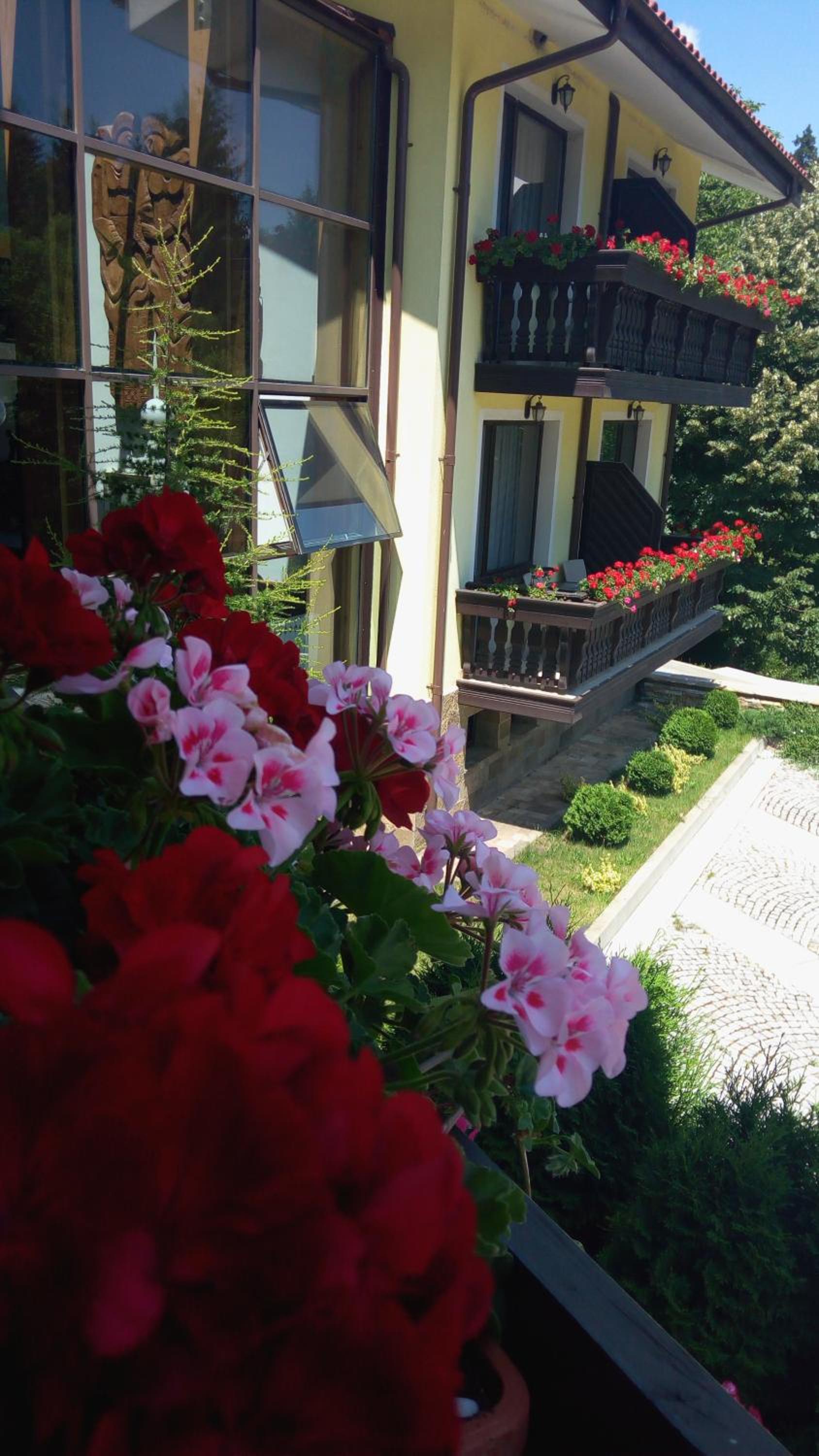 Park Hotel Izvorite view 3