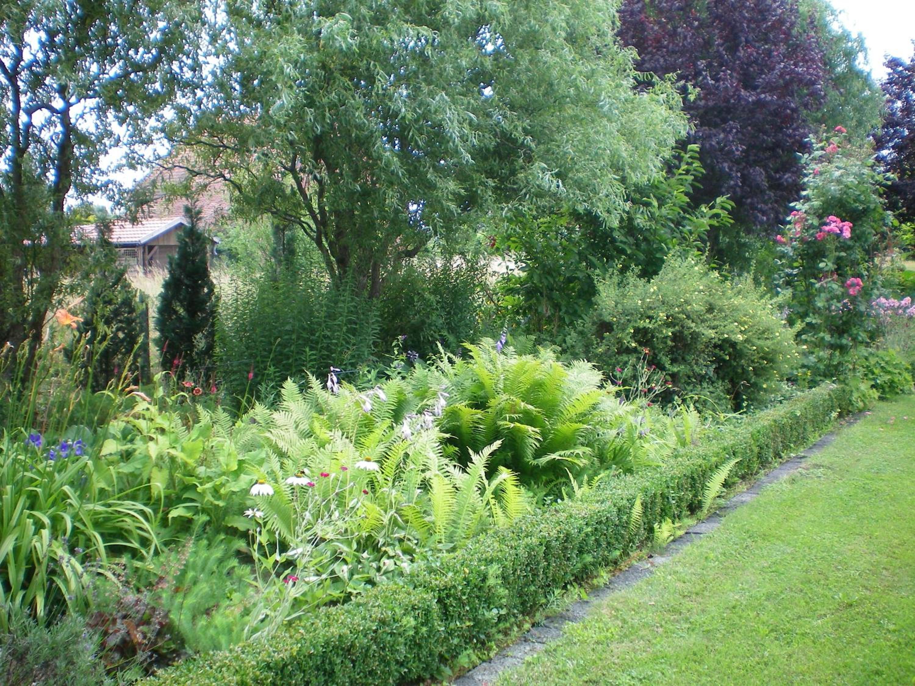Photo 32