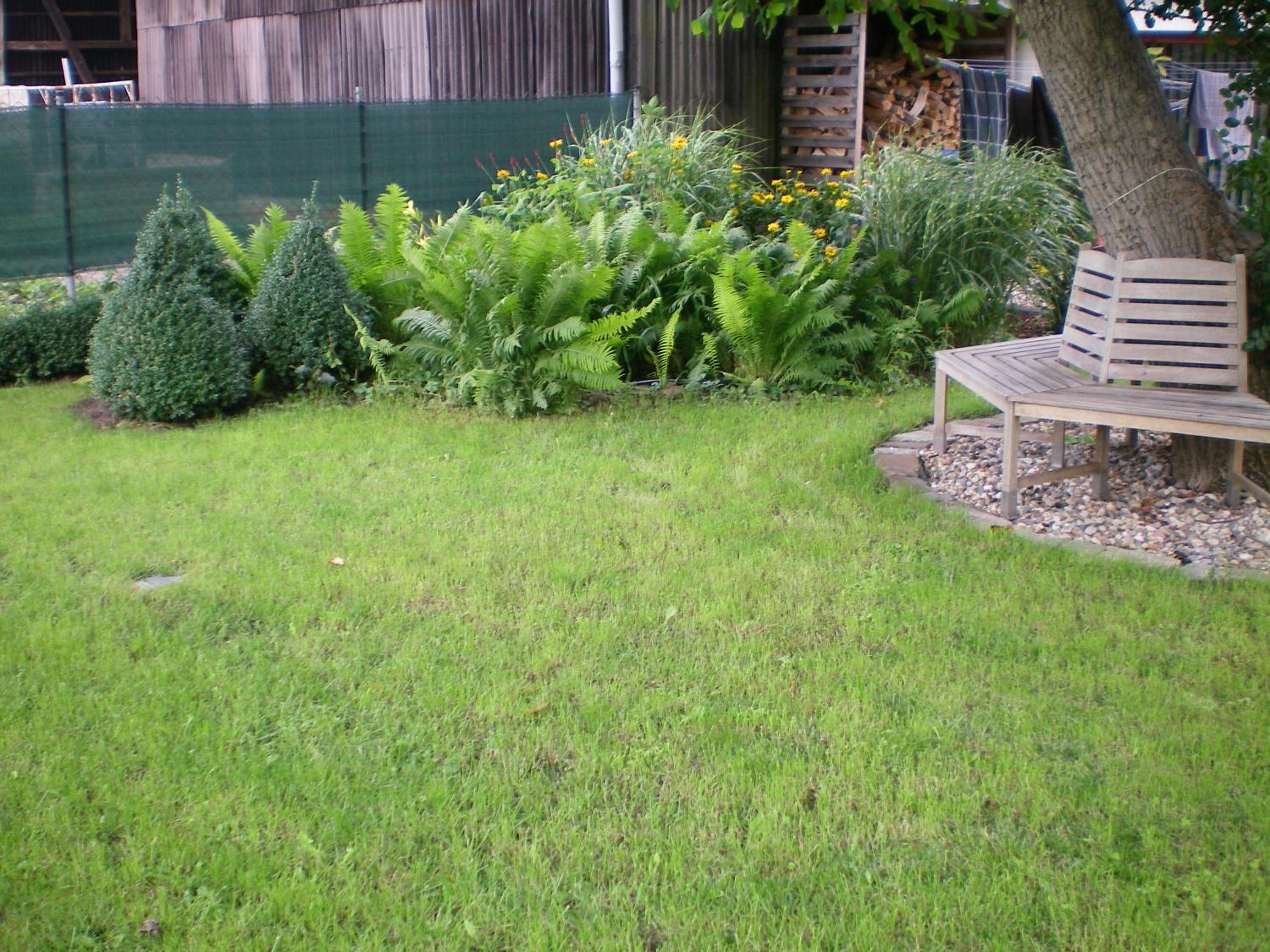 Photo 33