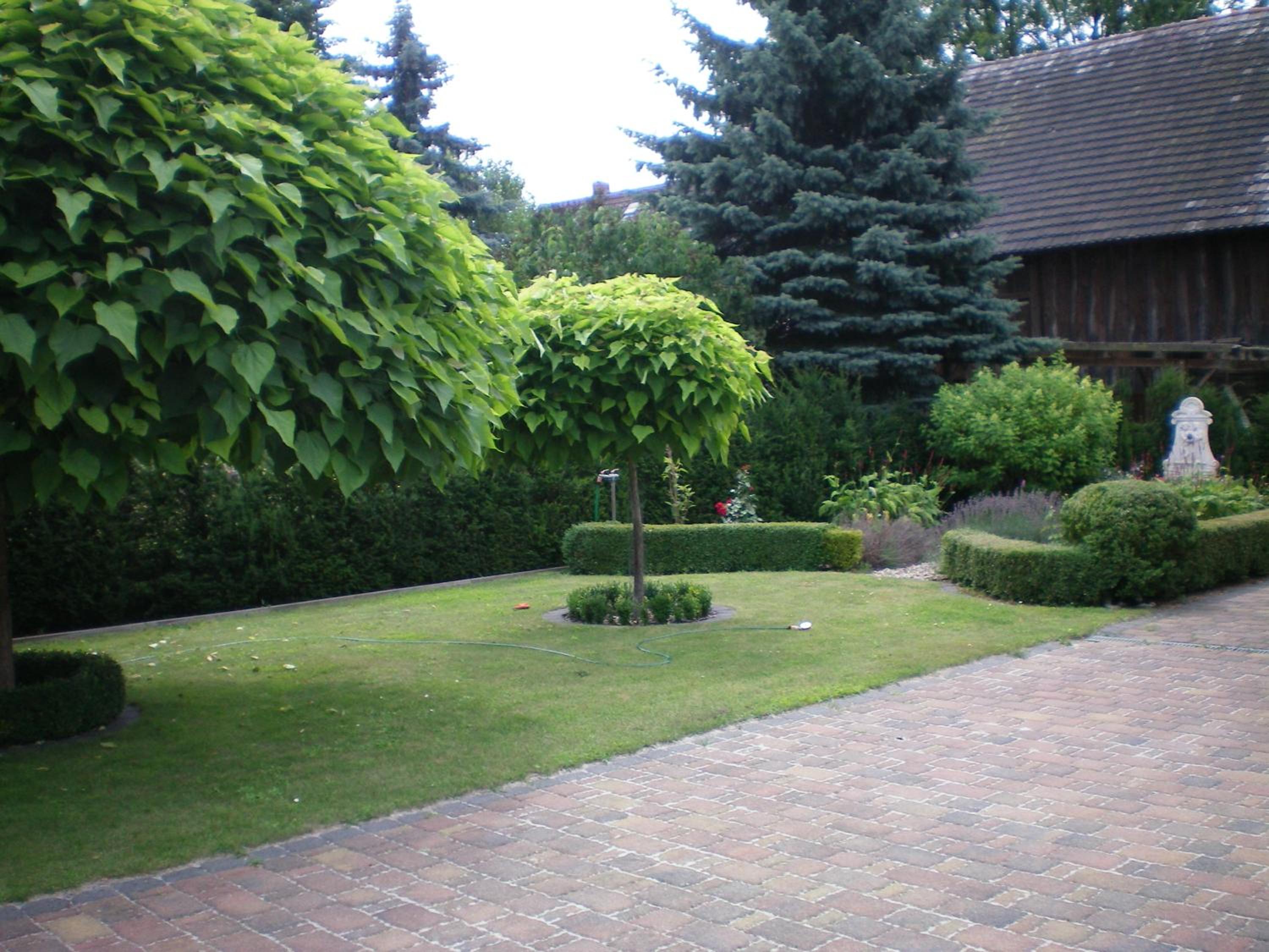 Photo 27