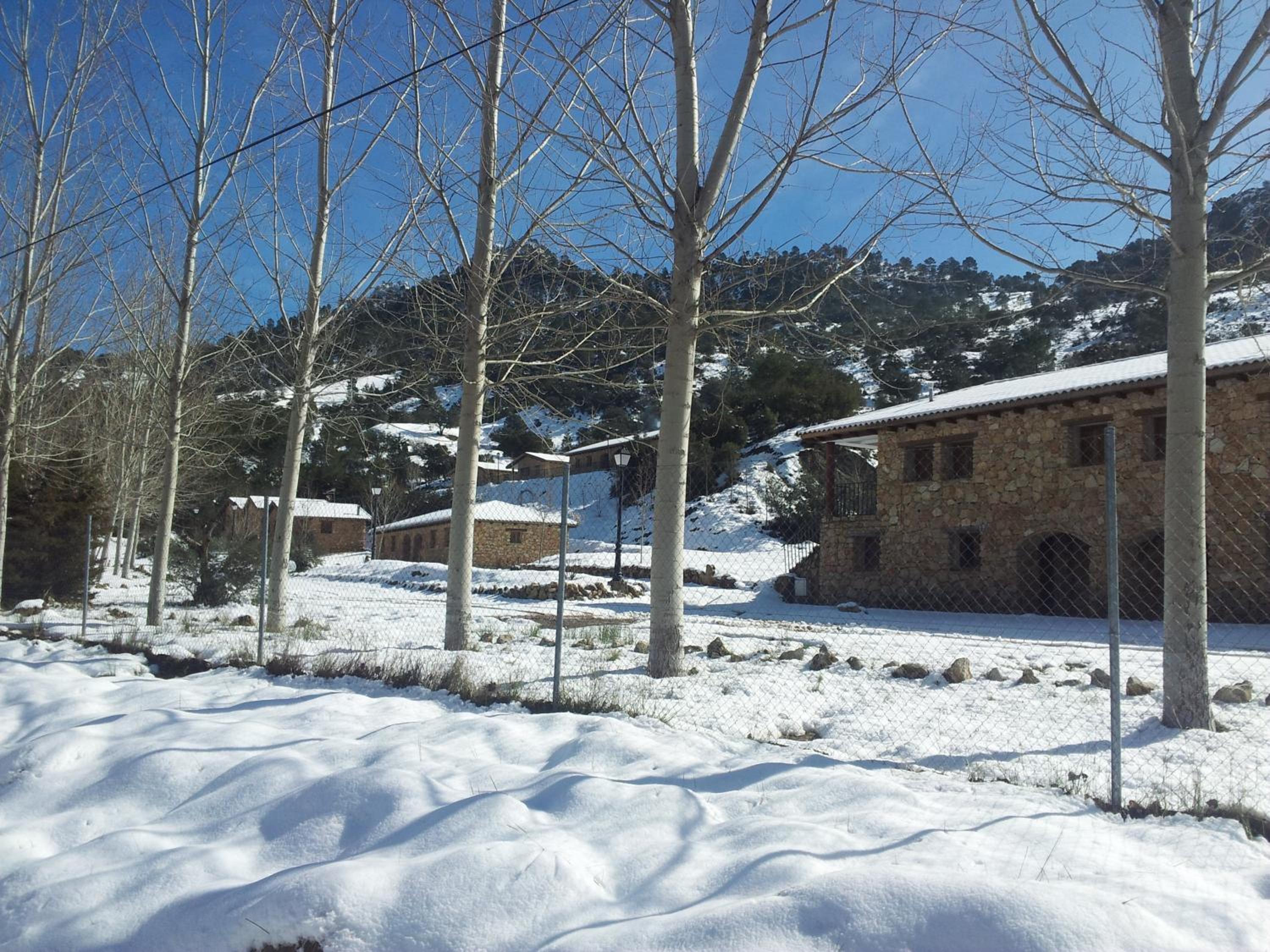 CABAÑAS RIO MUNDO