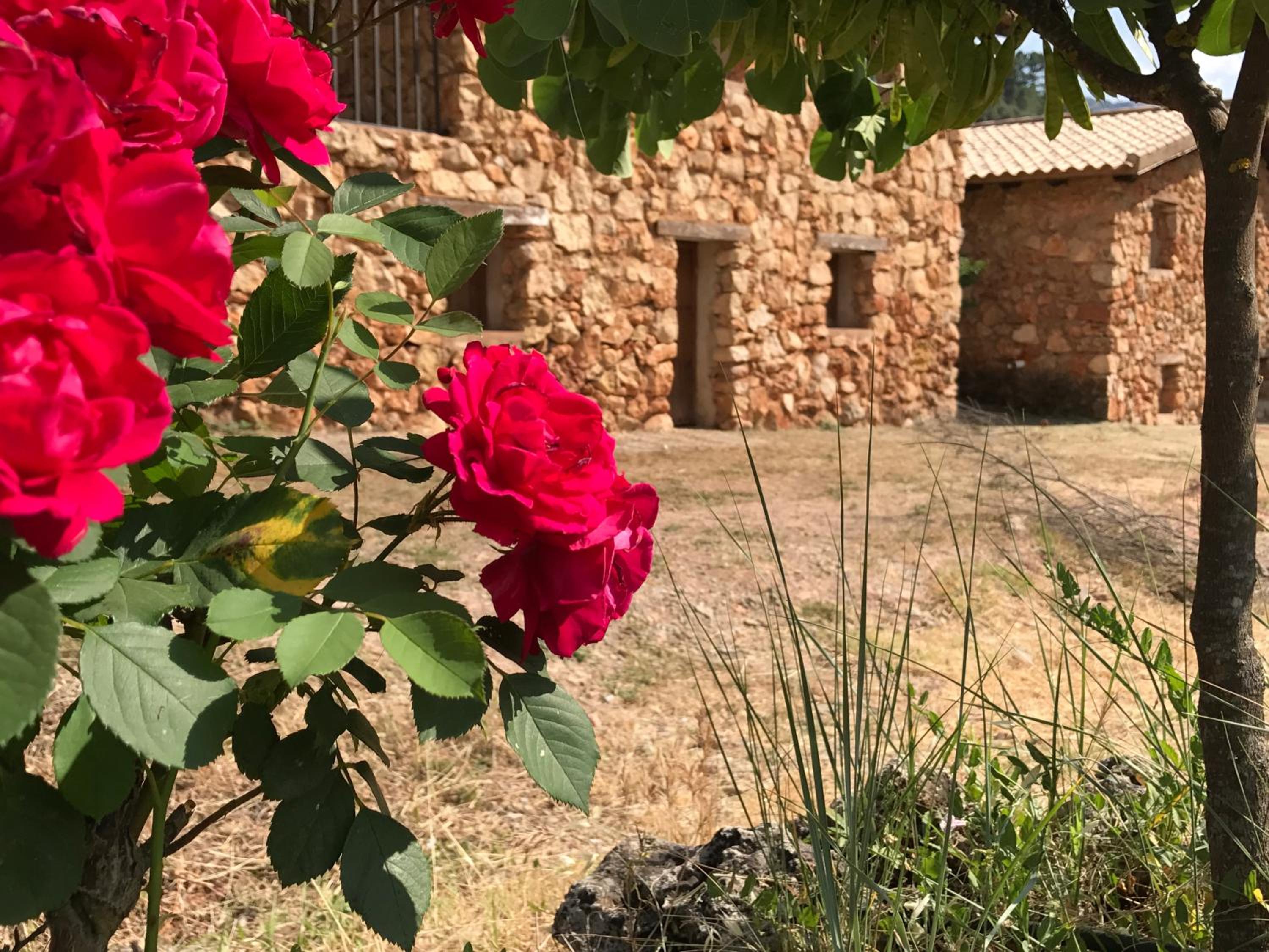 CABAÑAS RIO MUNDO