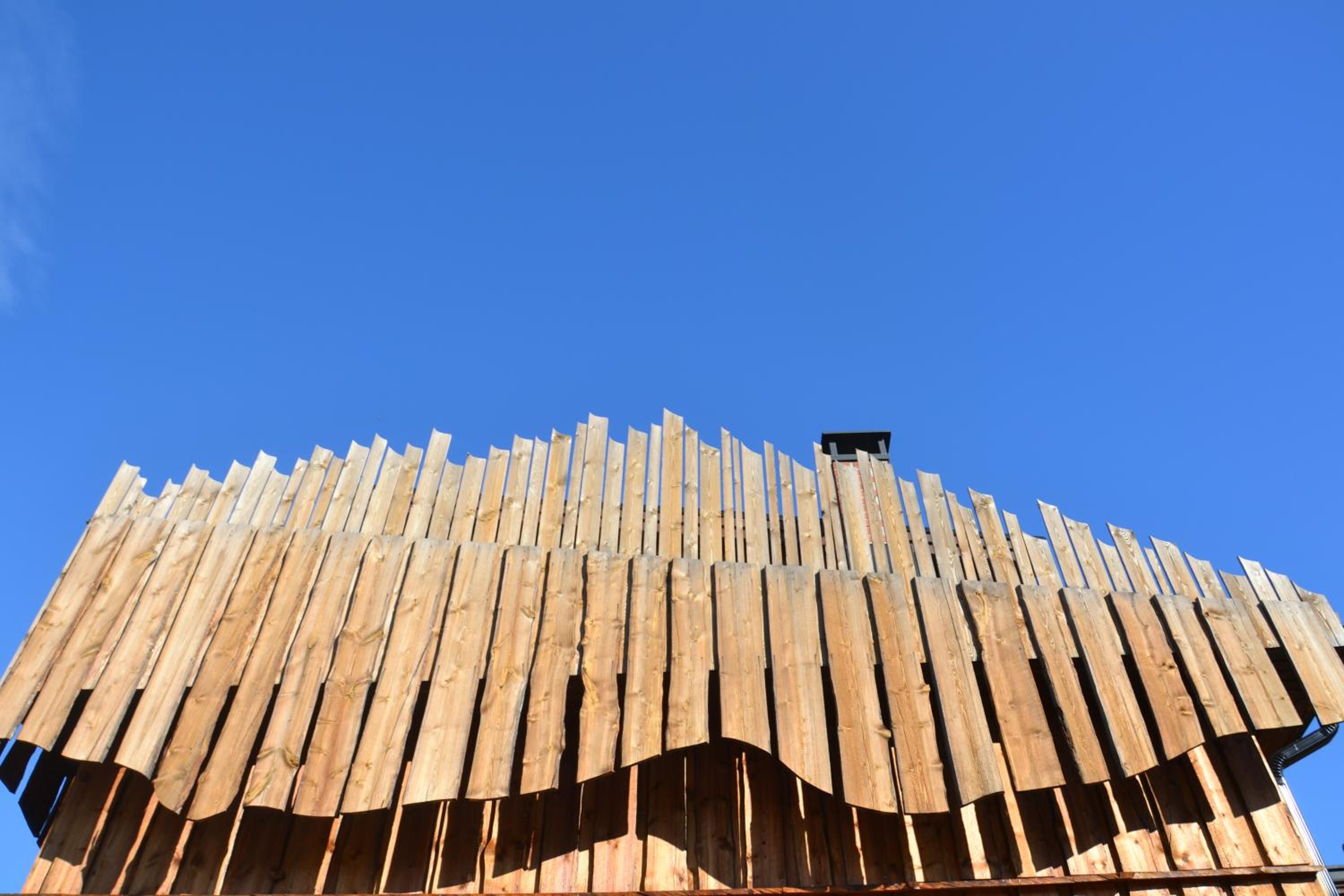 Tenon Eräkievari