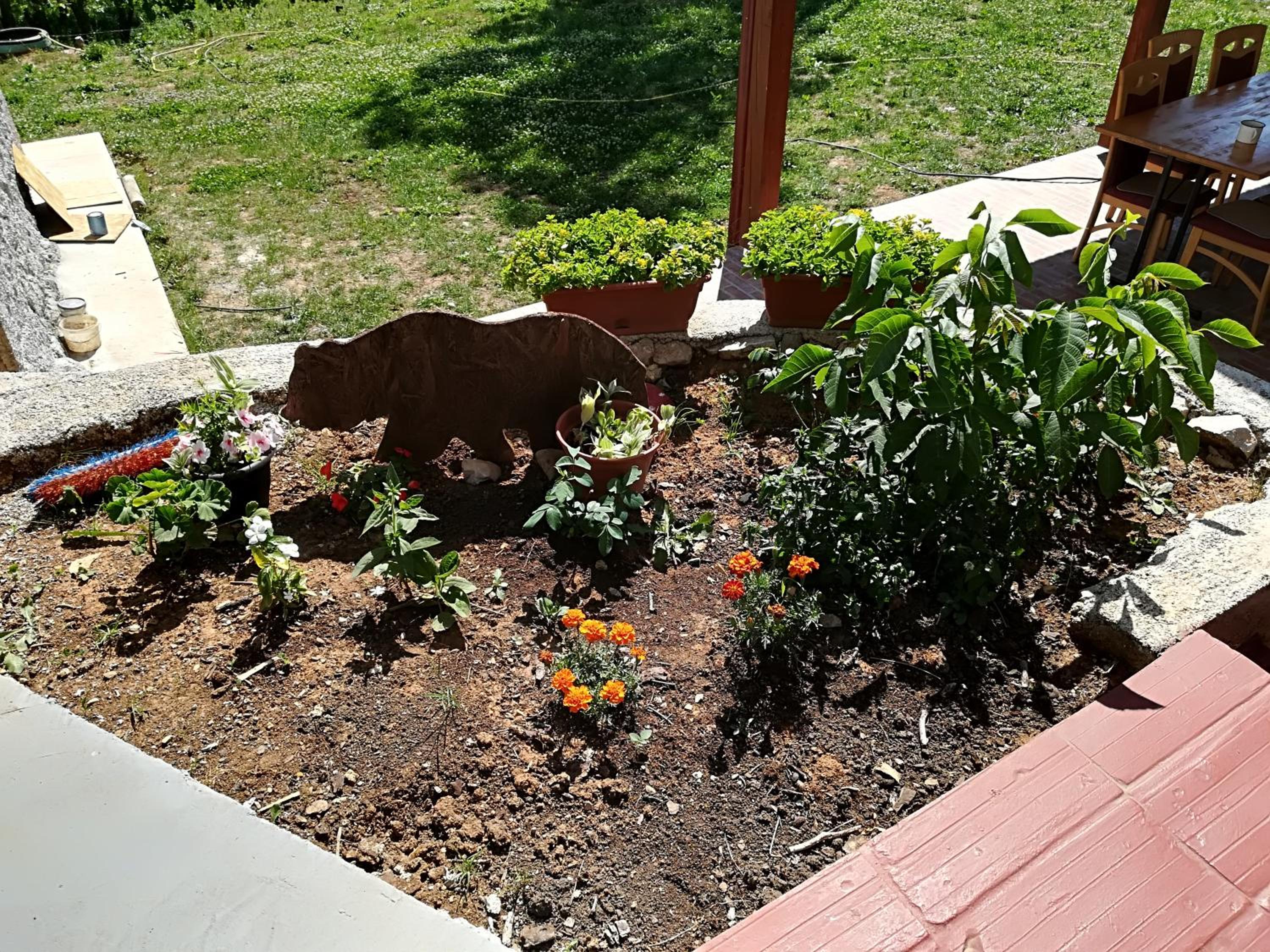 Photo 28