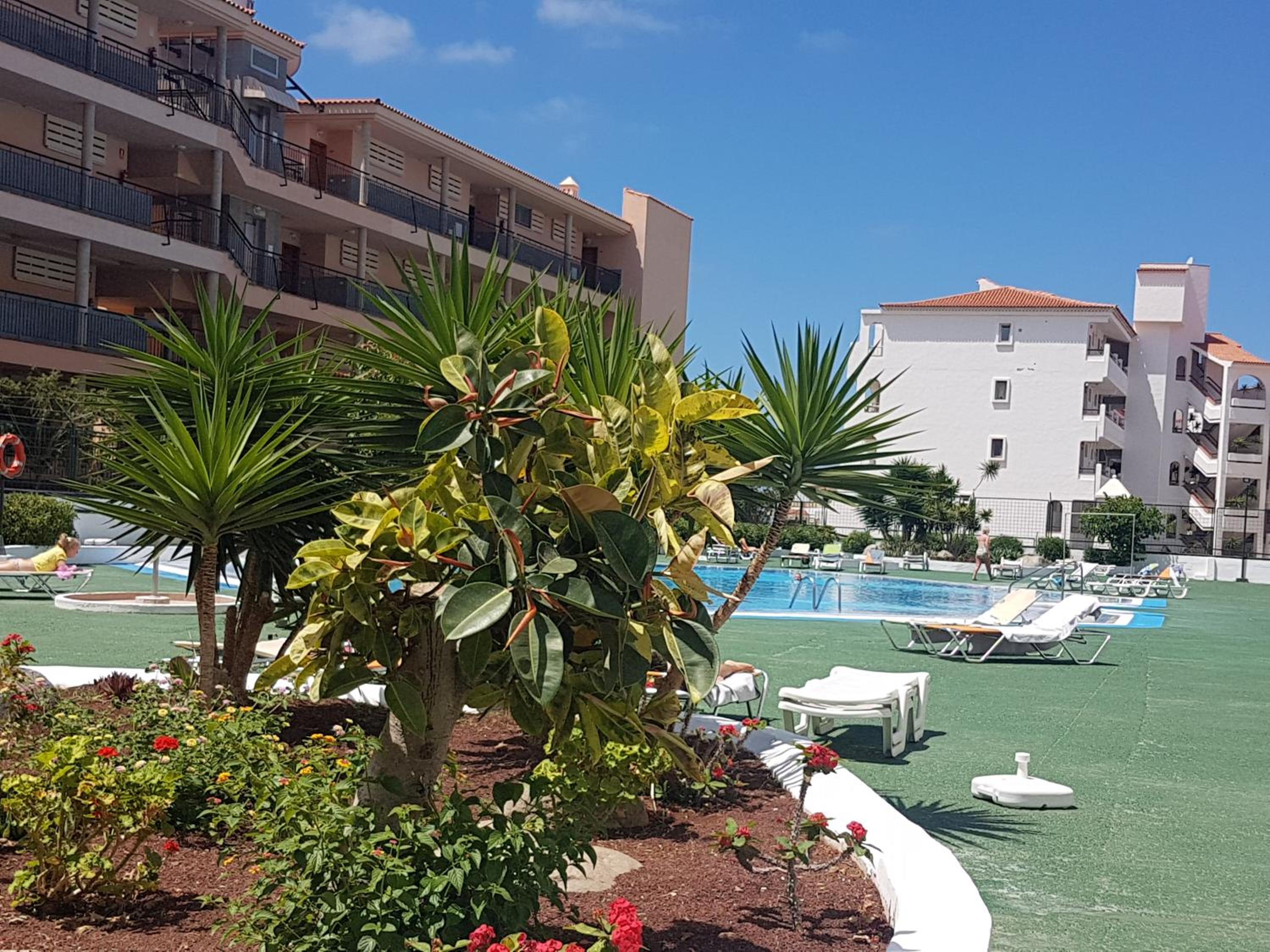 Los Cristianos to enjoy, relax and live the ocean! view 5