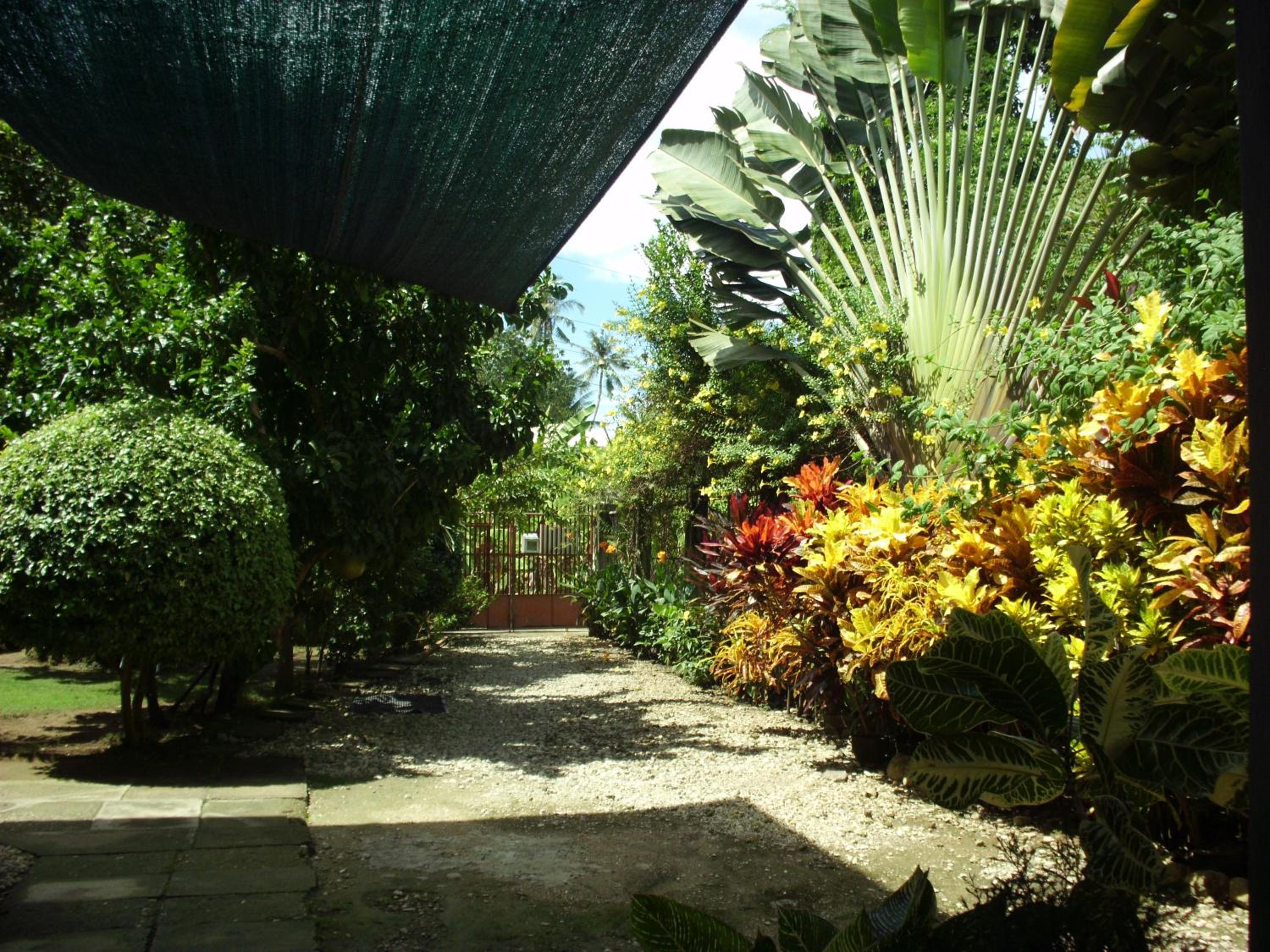 Photo 45