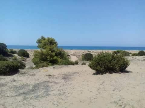 Potokia Rooms