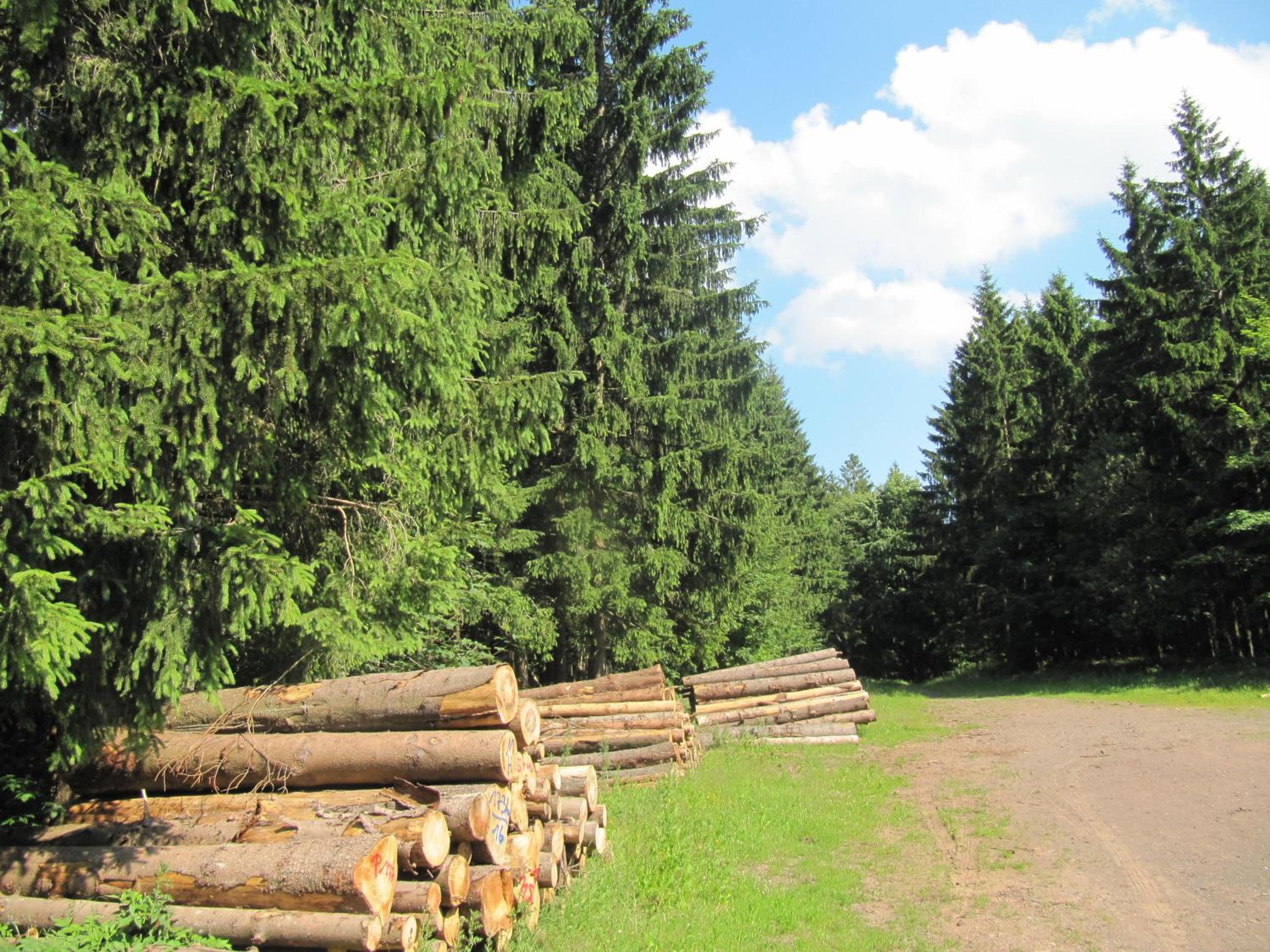 Ferienwohnung Römerstein