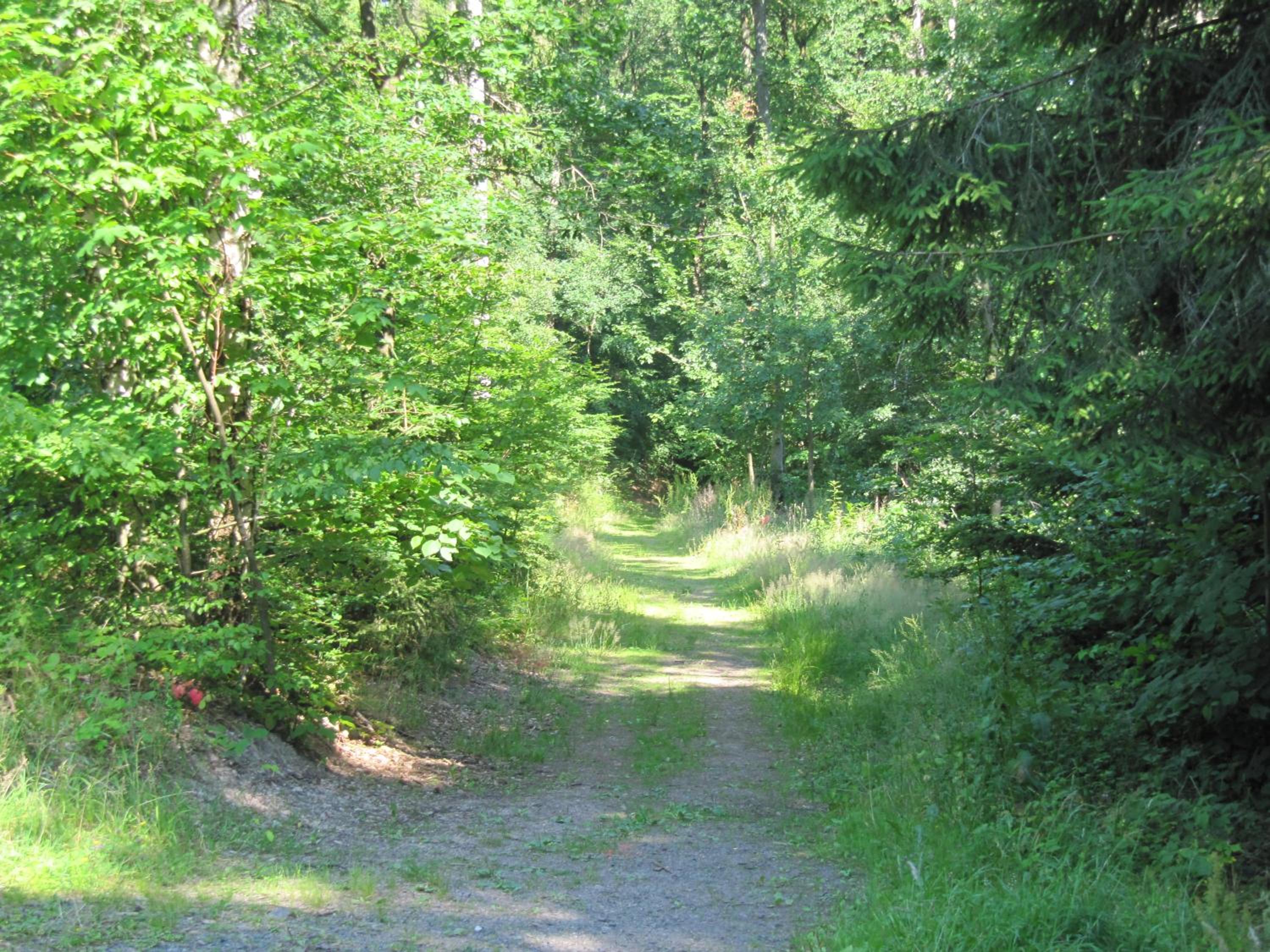 Ferienwohnung Römerstein