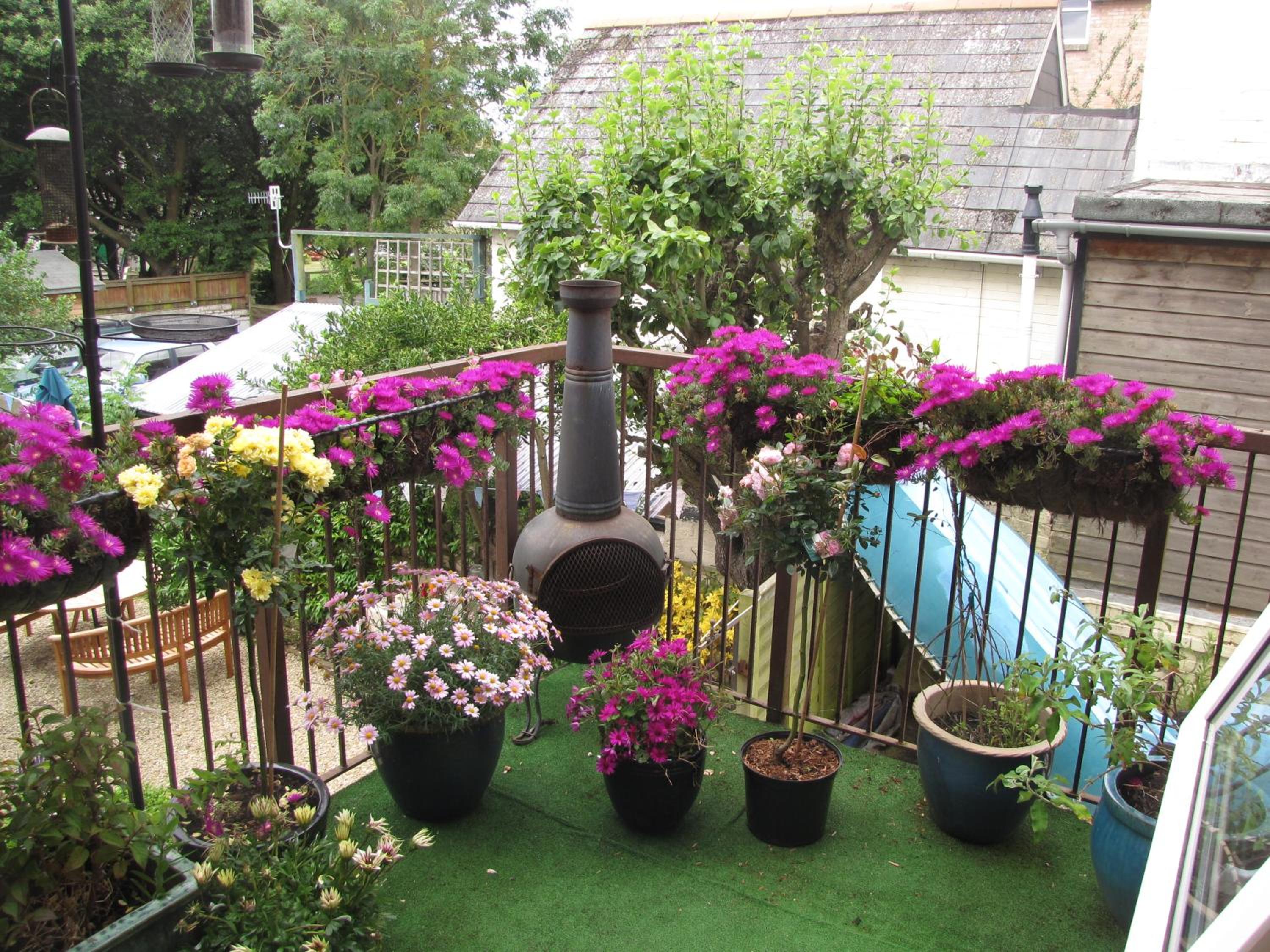 Photo 30