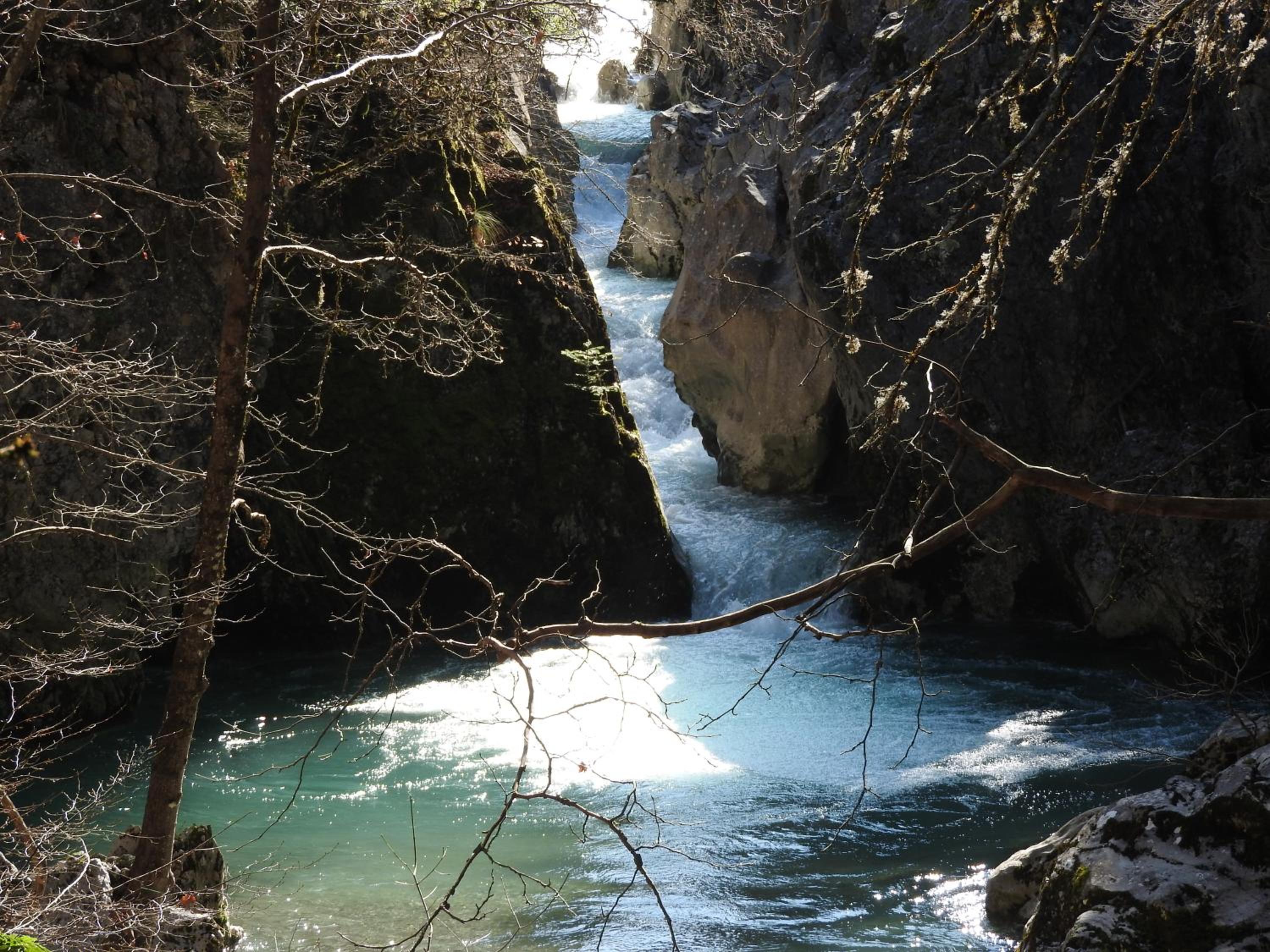 Photo 45