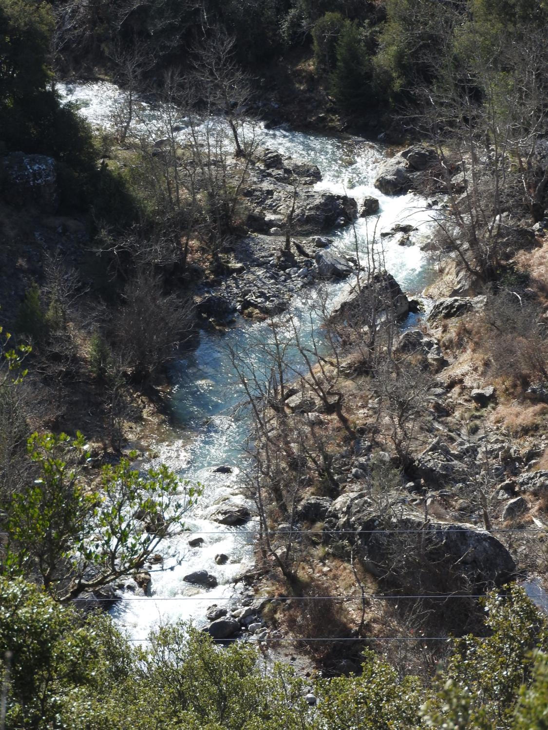 Photo 44