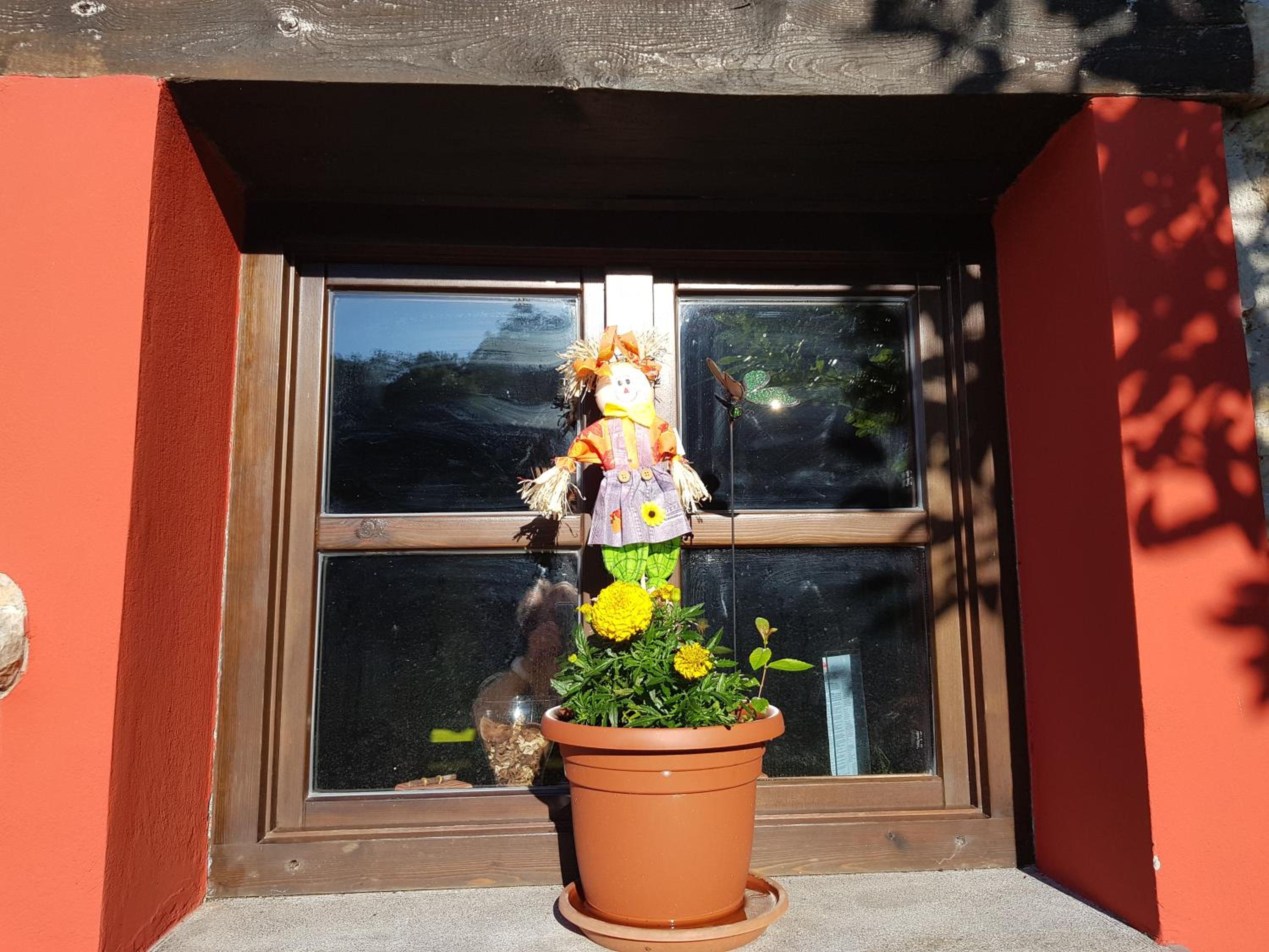 Photo 44