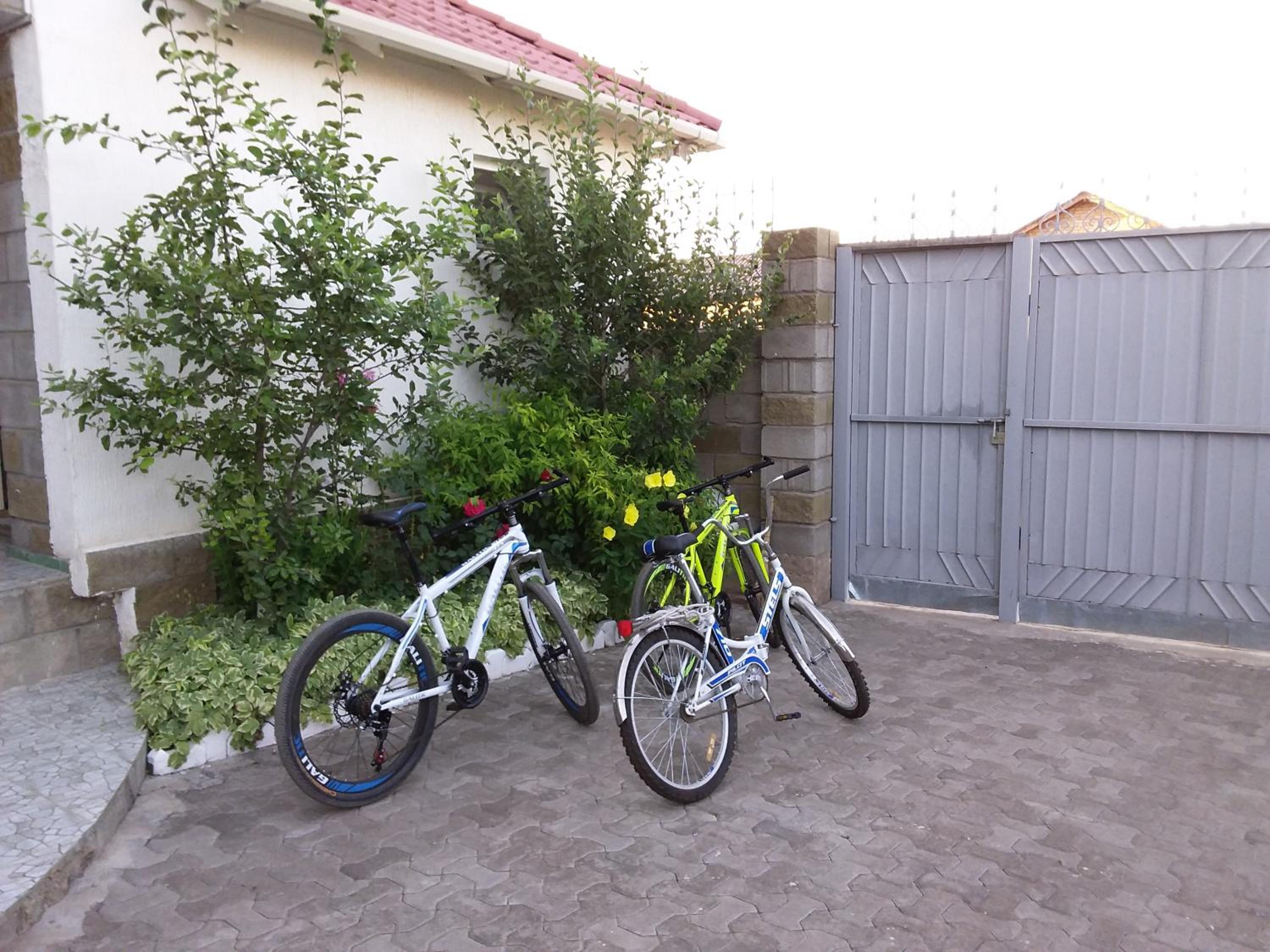 Photo 18