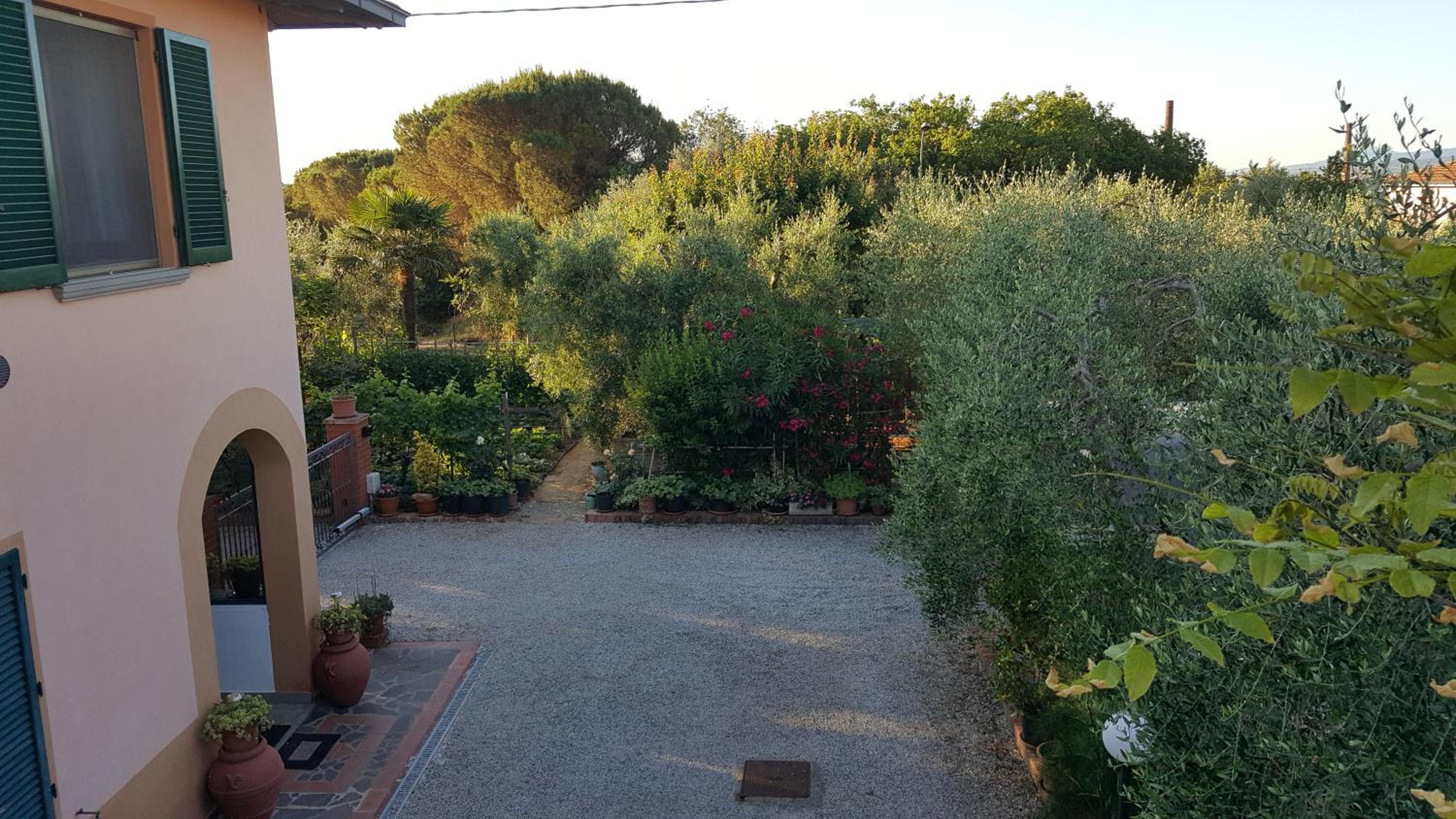 Photo 16