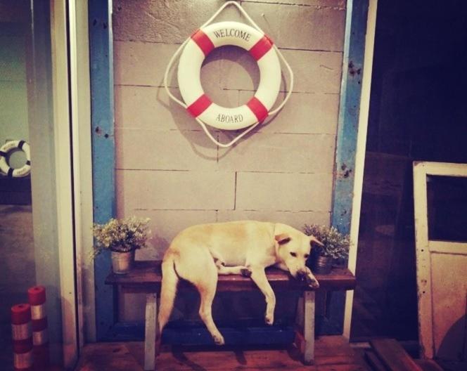 Sattahiptale Boutique Guesthouse & Hostel, photo 92