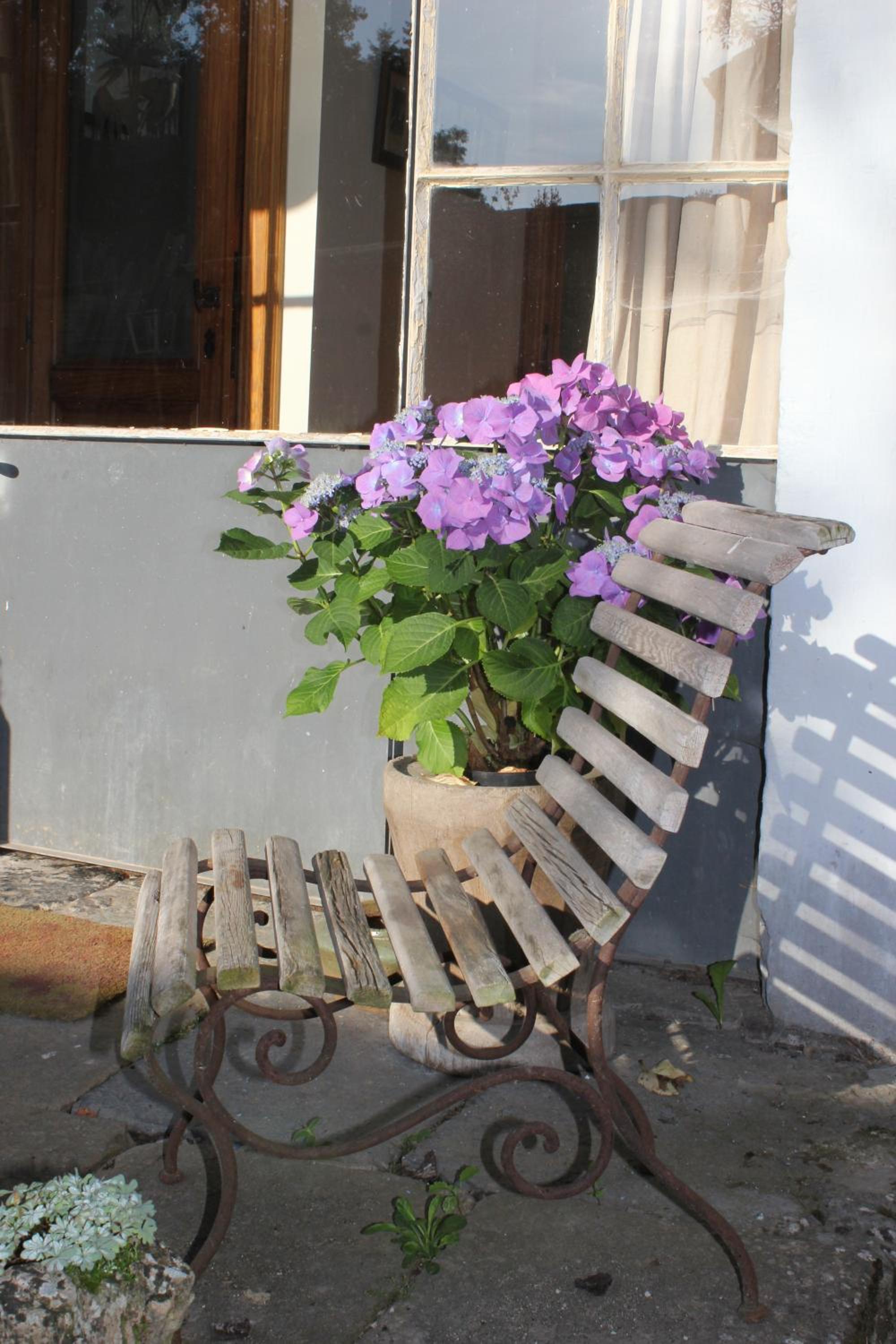 La Passiflore B&B