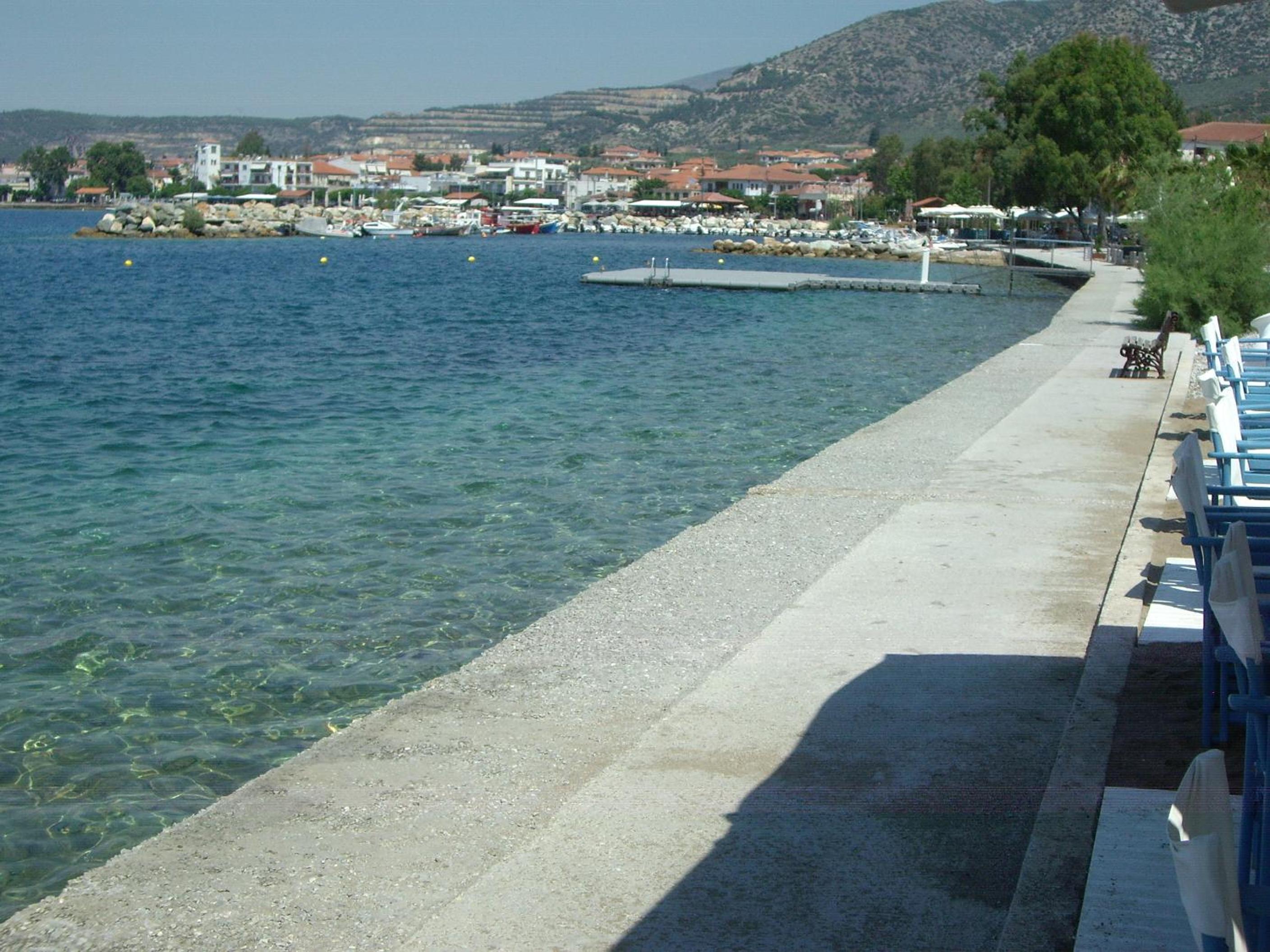 Photo 41