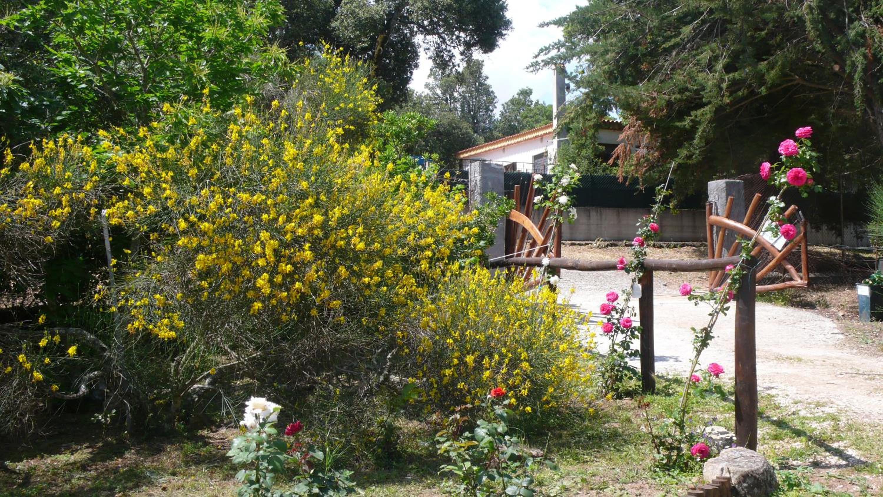 Photo 40