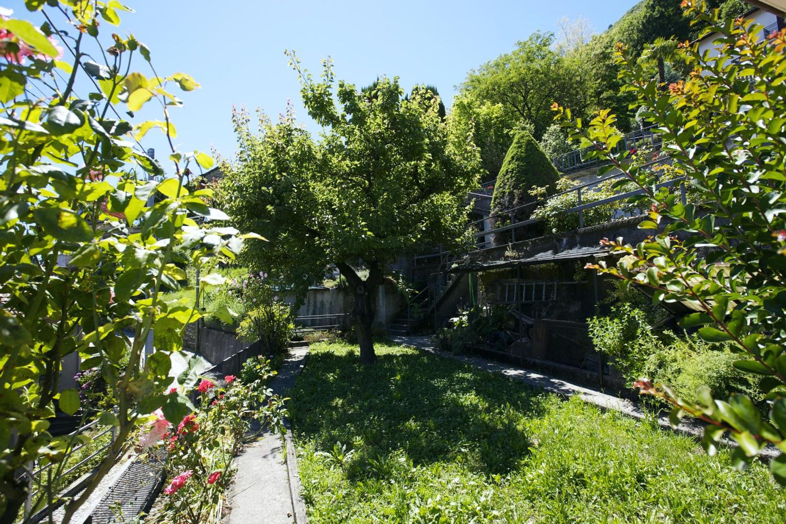 Photo 7